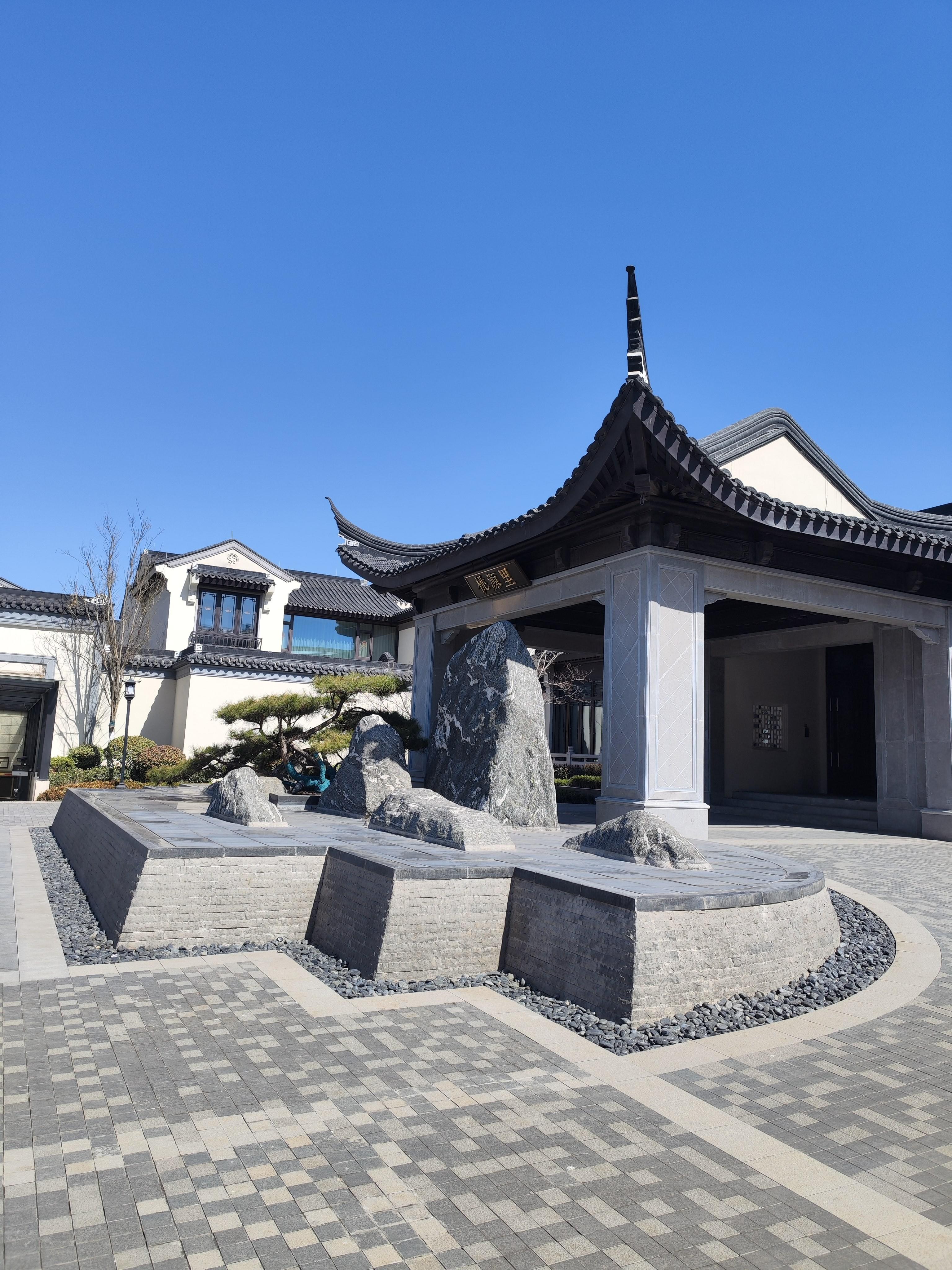 杨柳春风