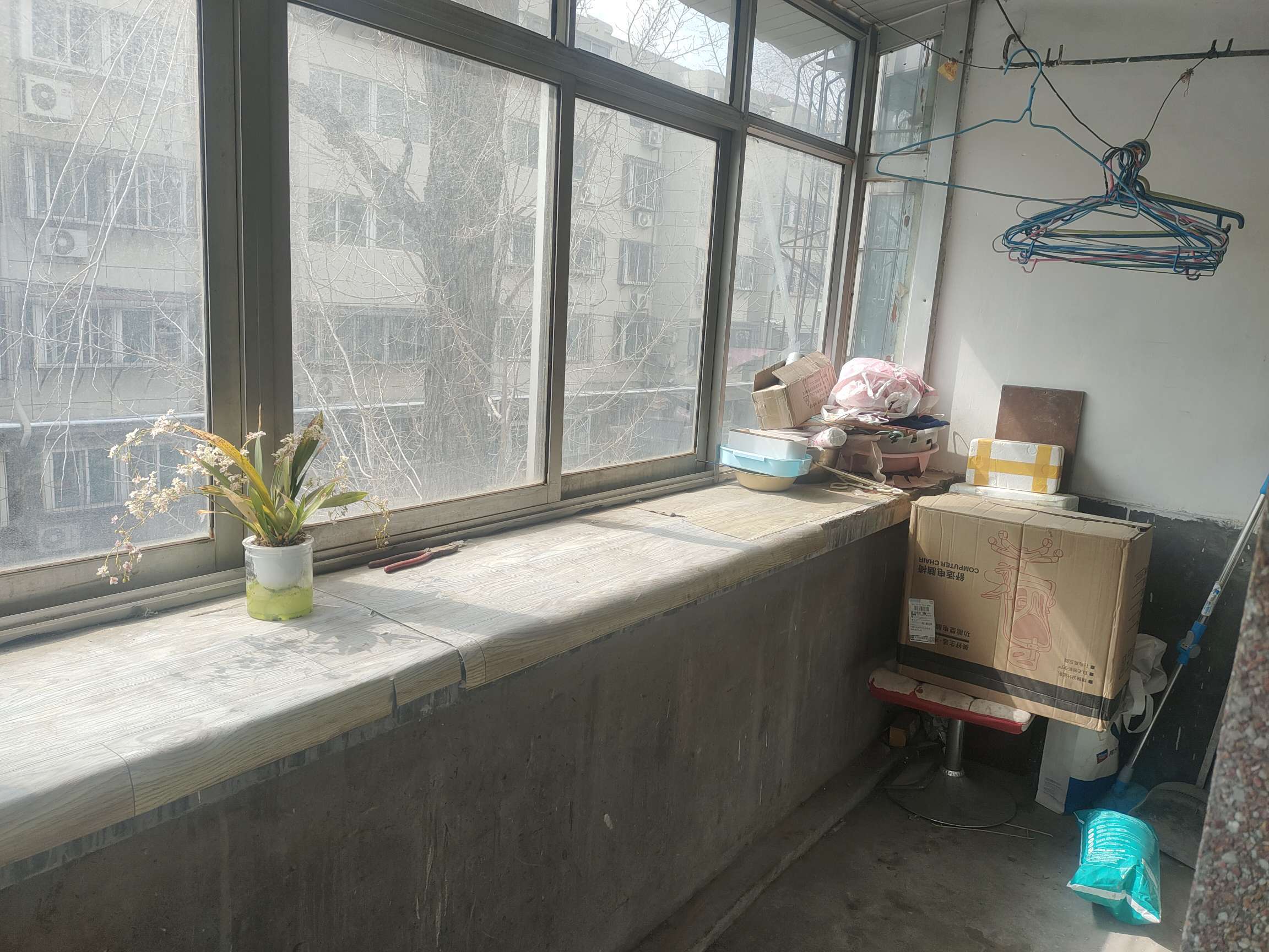 东舍坊街118号院(省无线电厂宿舍)