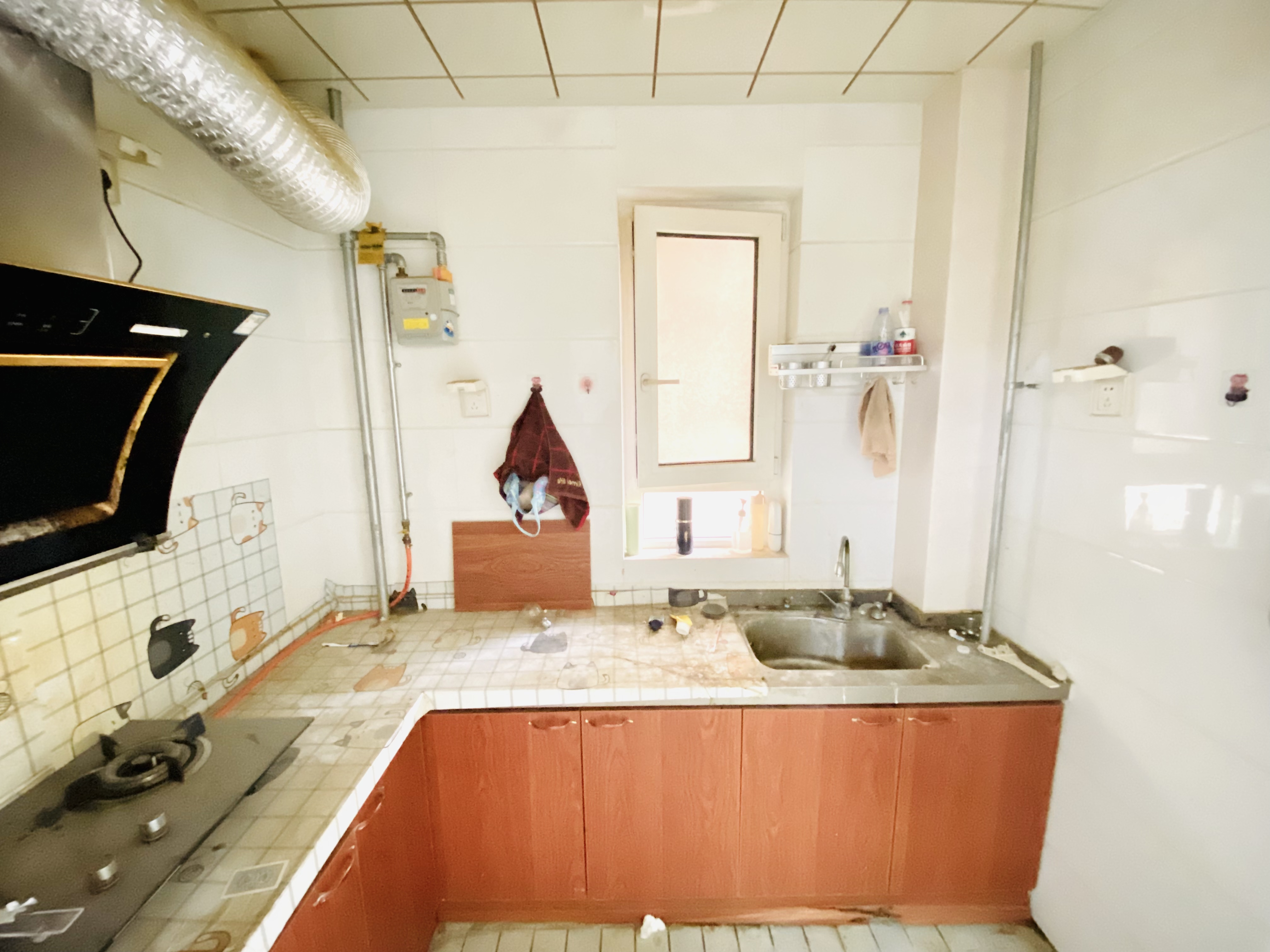 中新国际东城二区