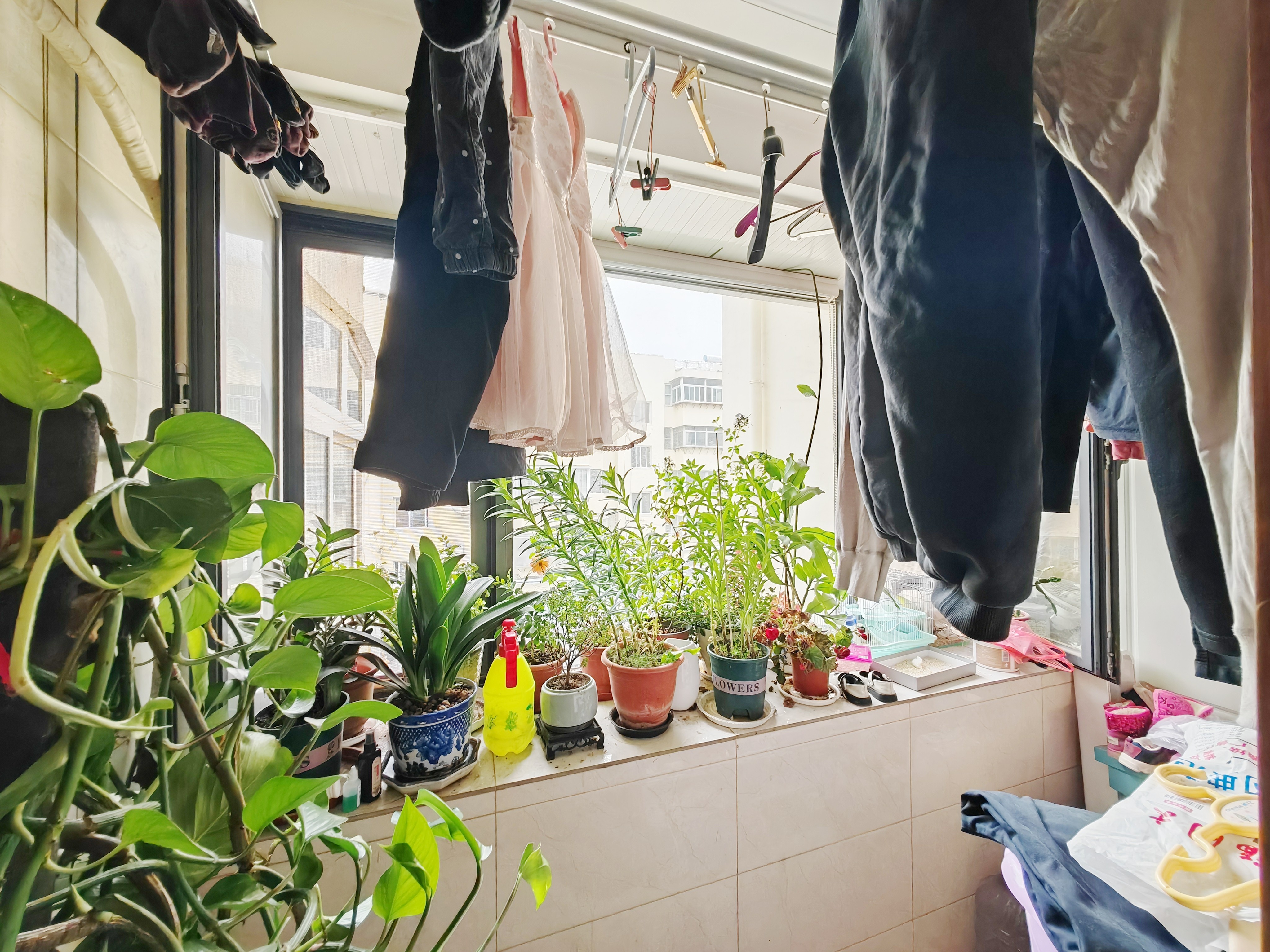 省中医药研究所宿舍