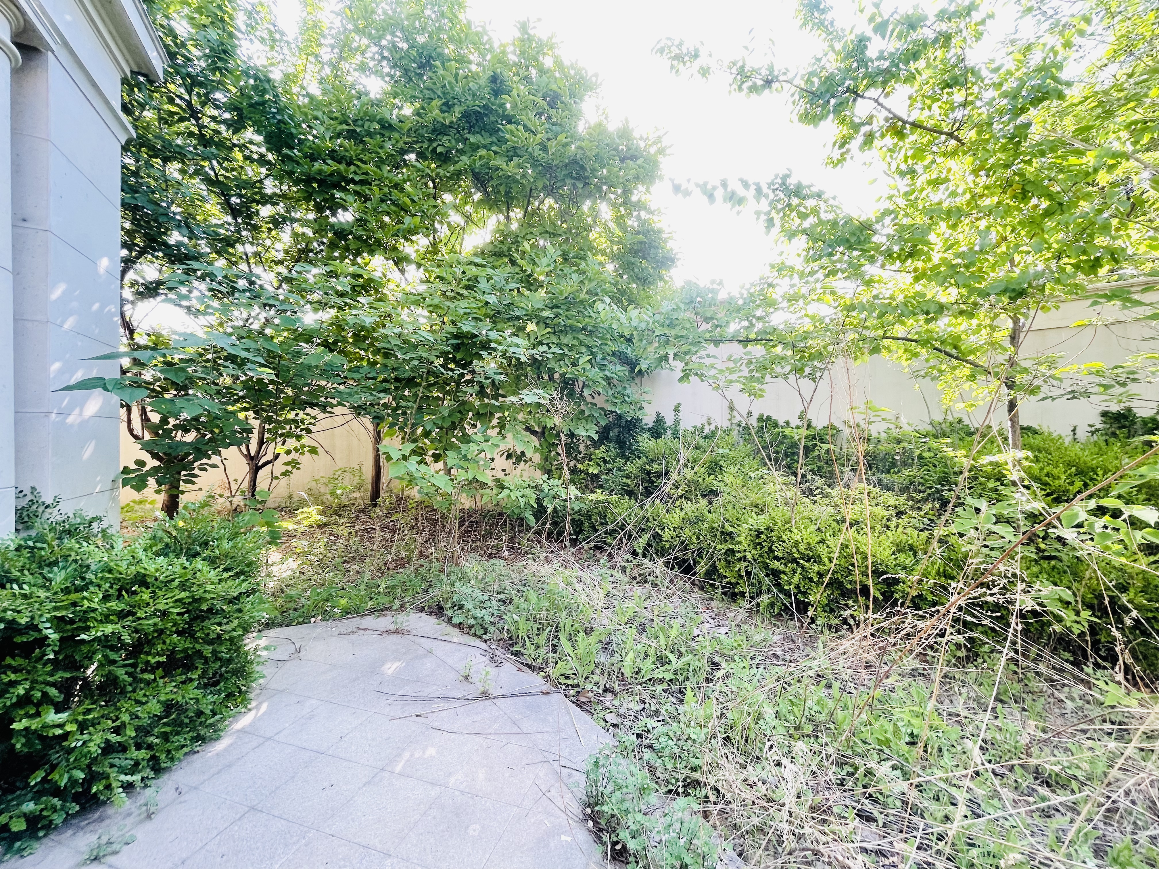 海尔绿城全运村