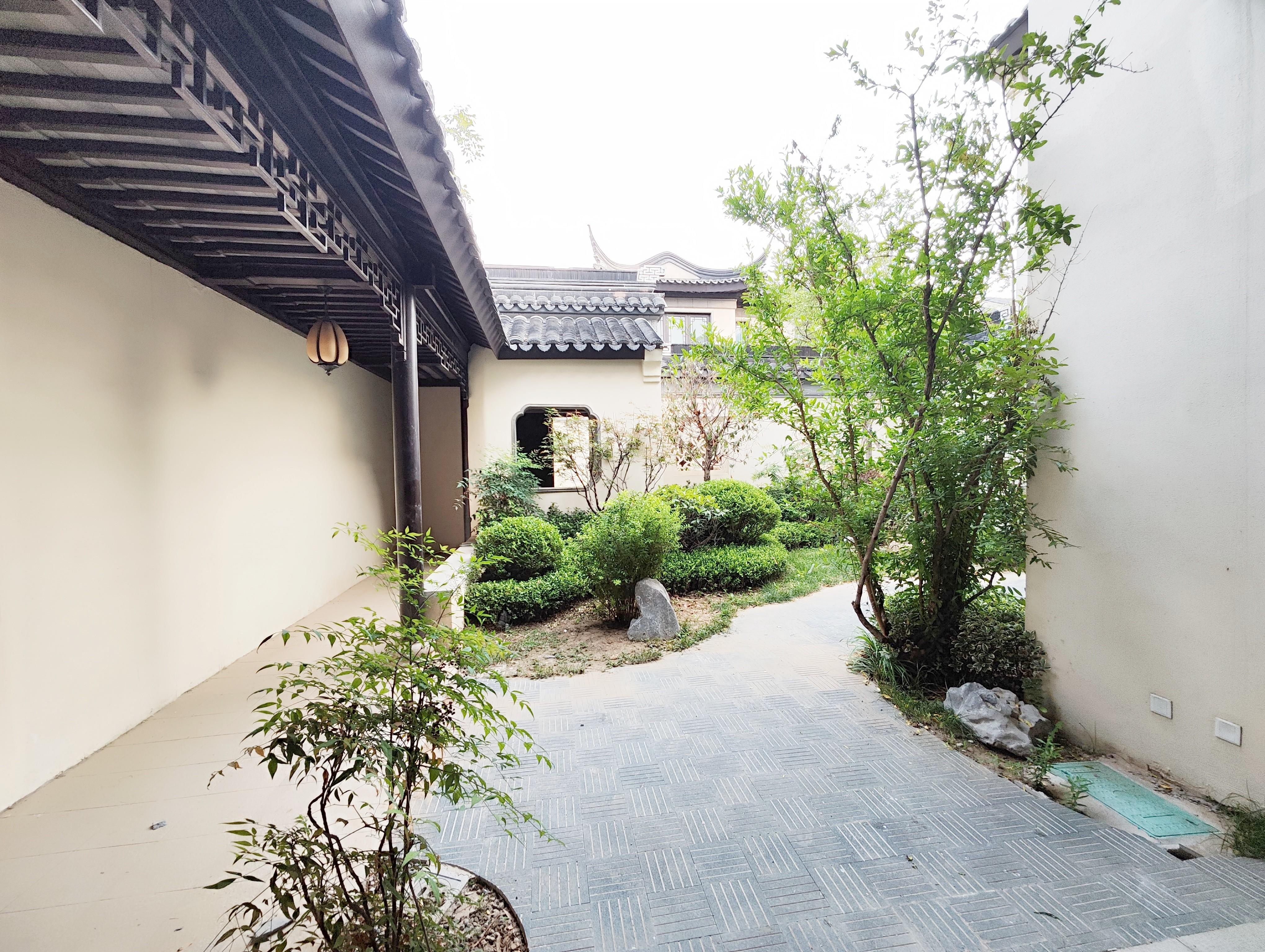 杨柳春风