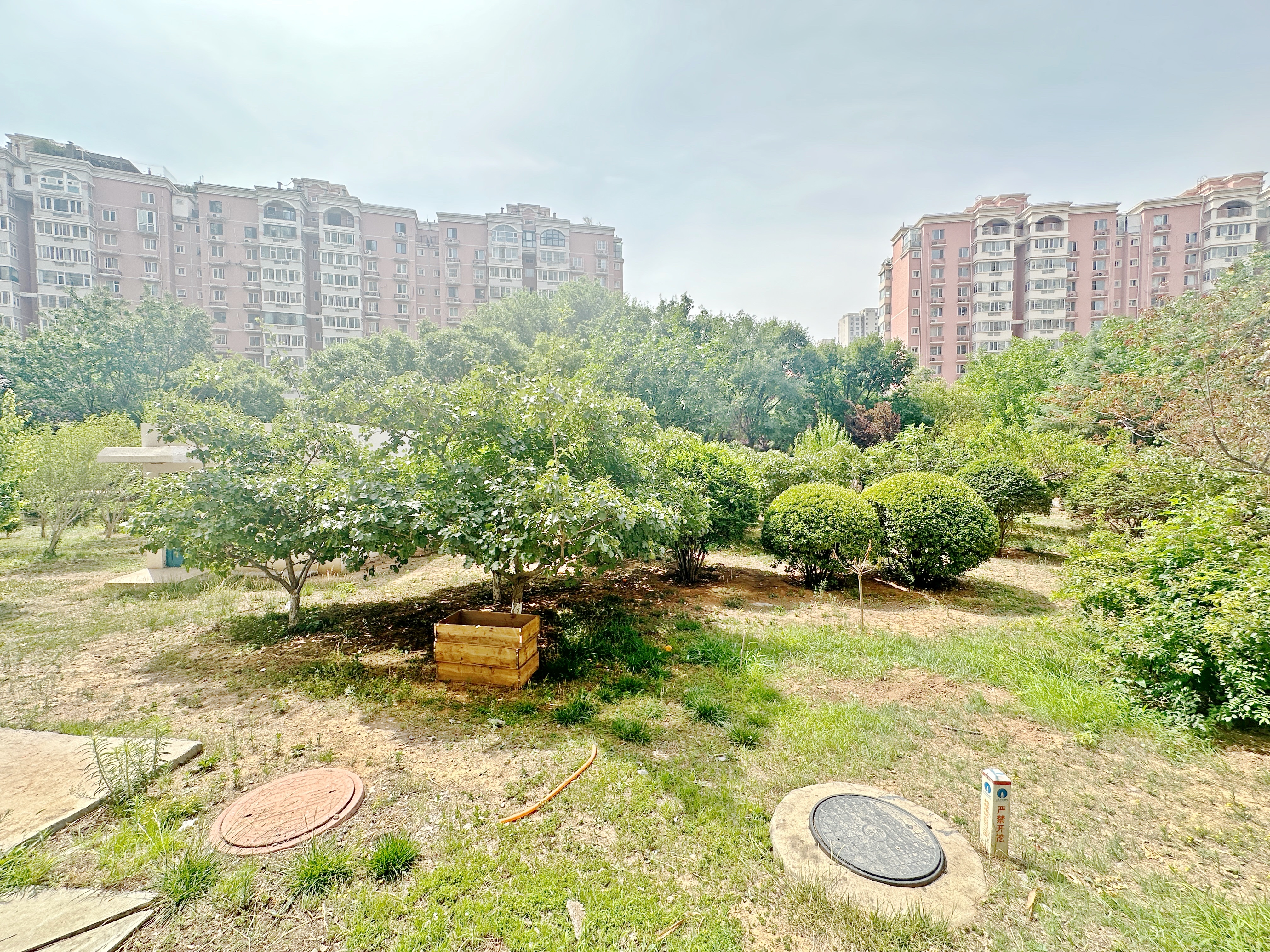 新世界阳光花园