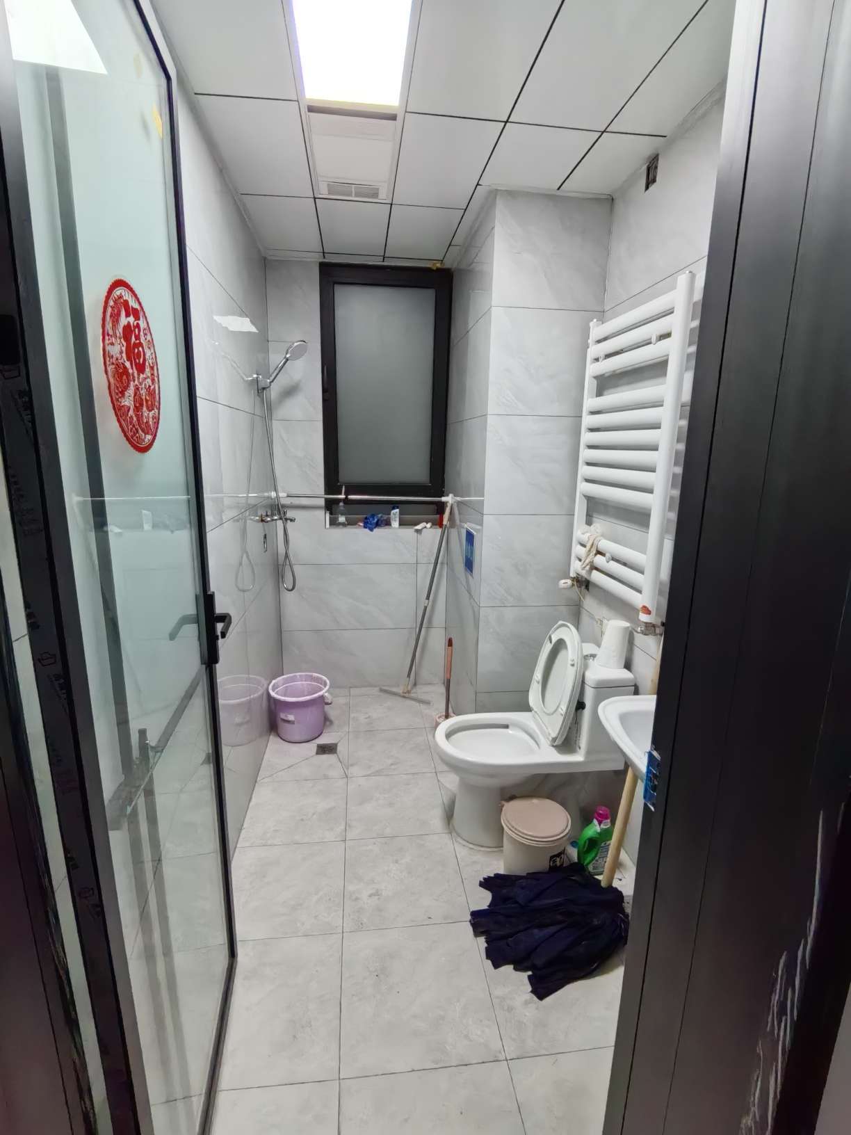 杨柳春风