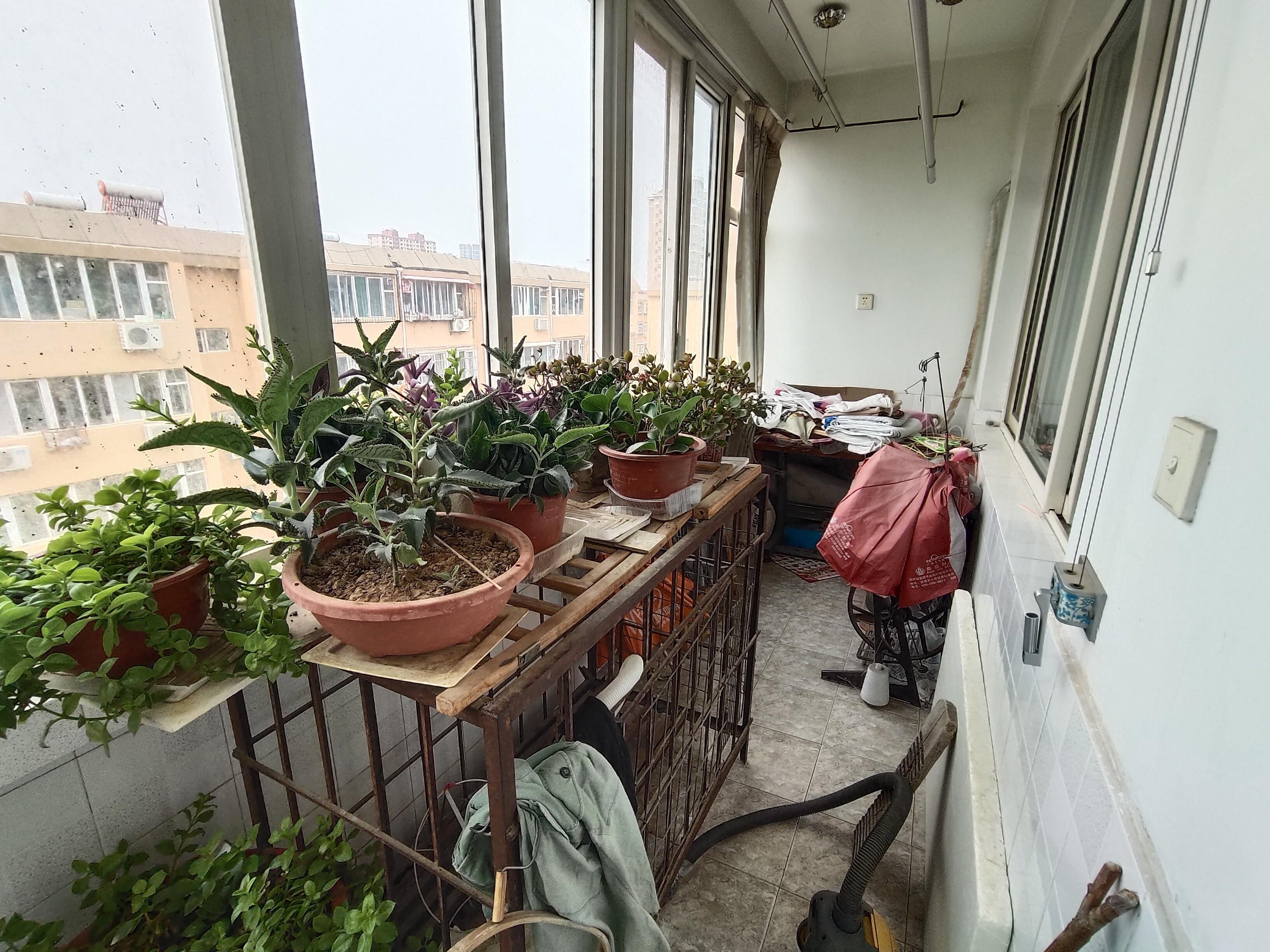 闫千户小区