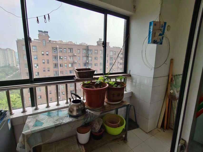 建大花园