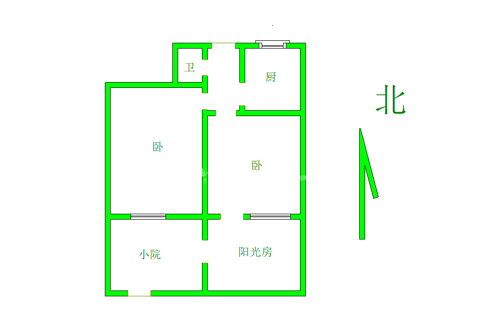 北大槐树51号