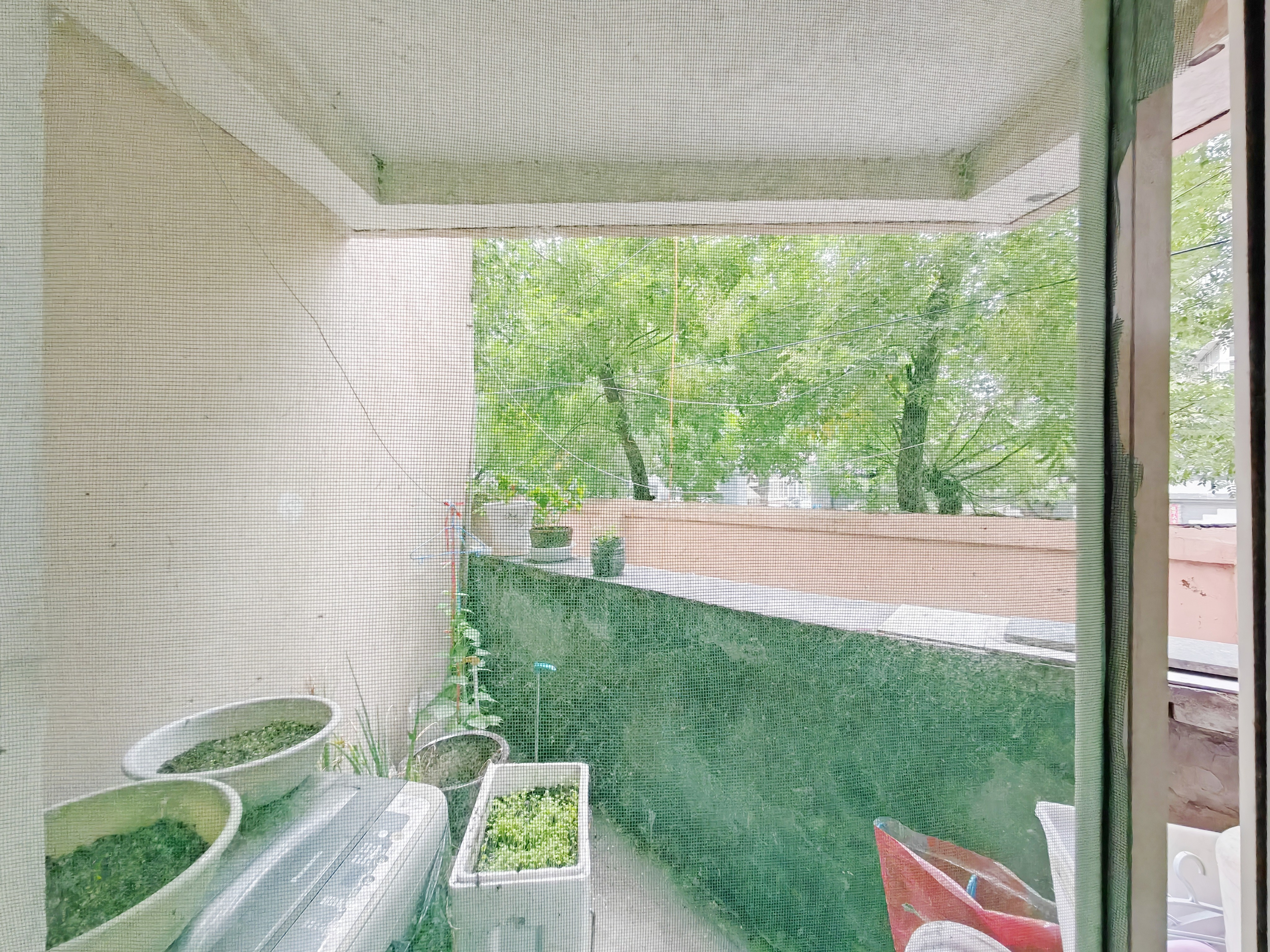 山大南路75、77号院