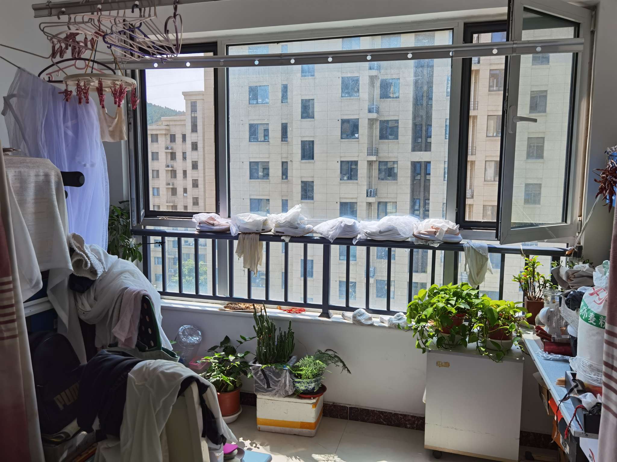 银丰唐郡牡丹园