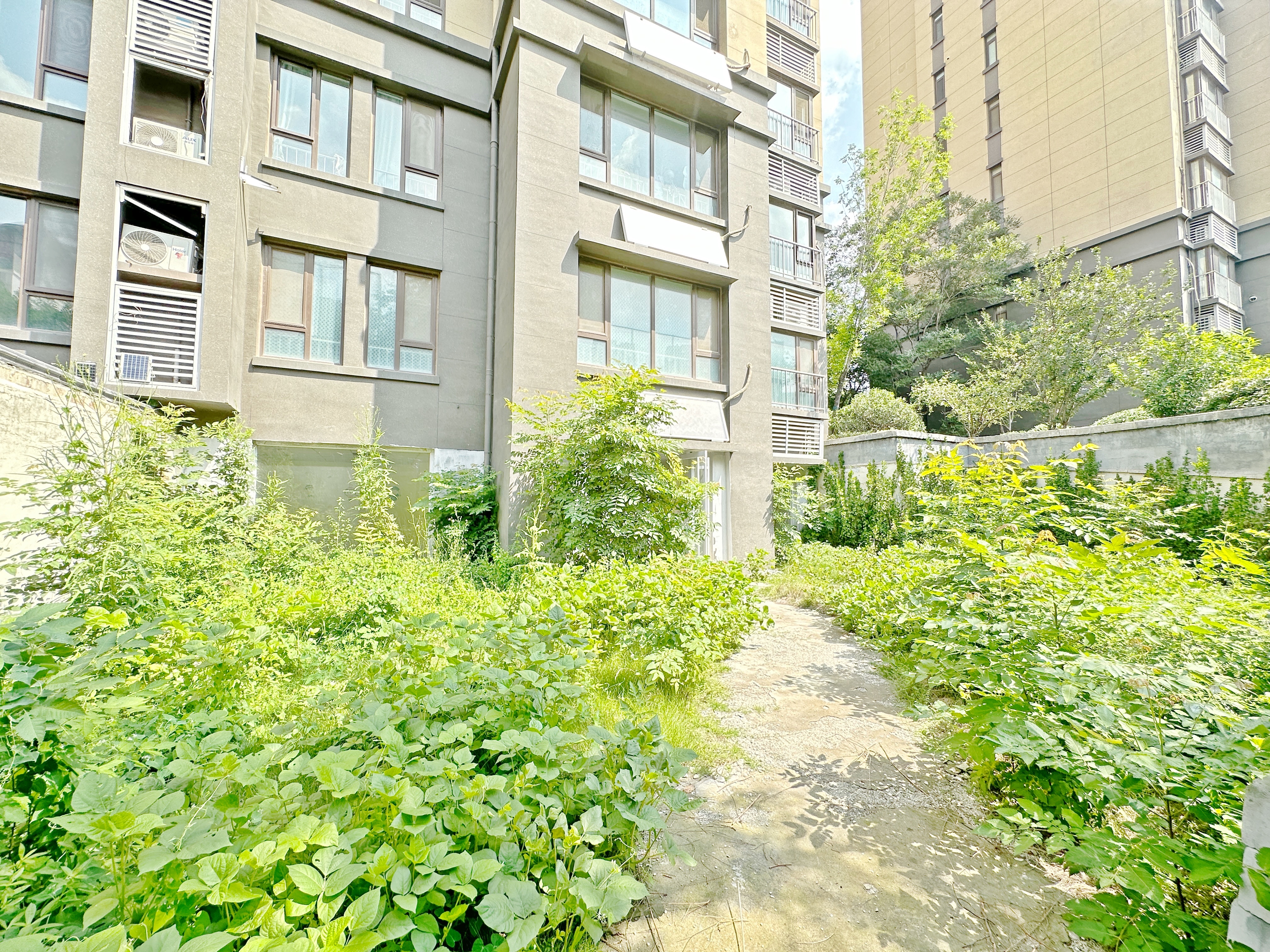 绿地国际城玫瑰明都