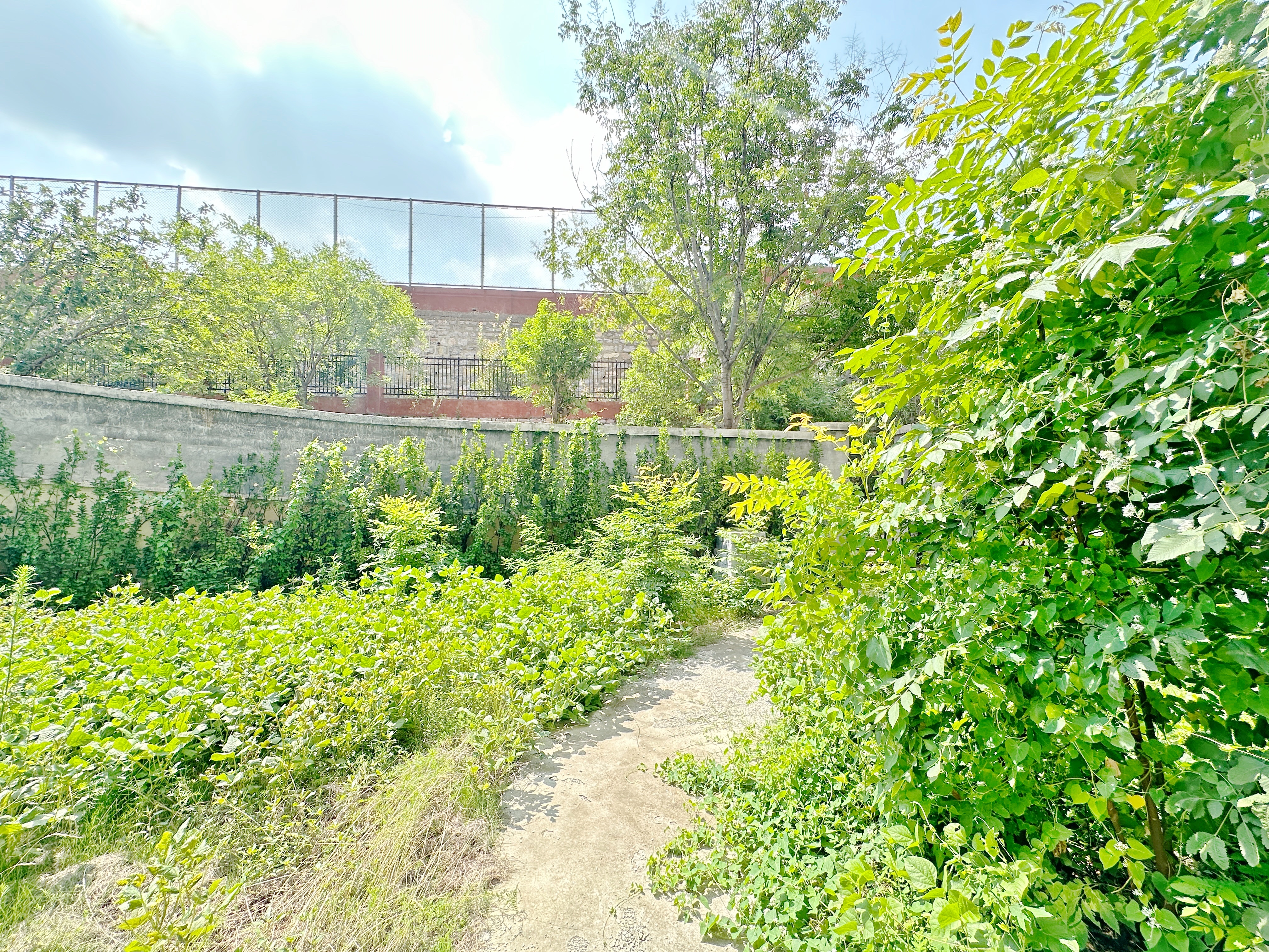 绿地国际城玫瑰明都