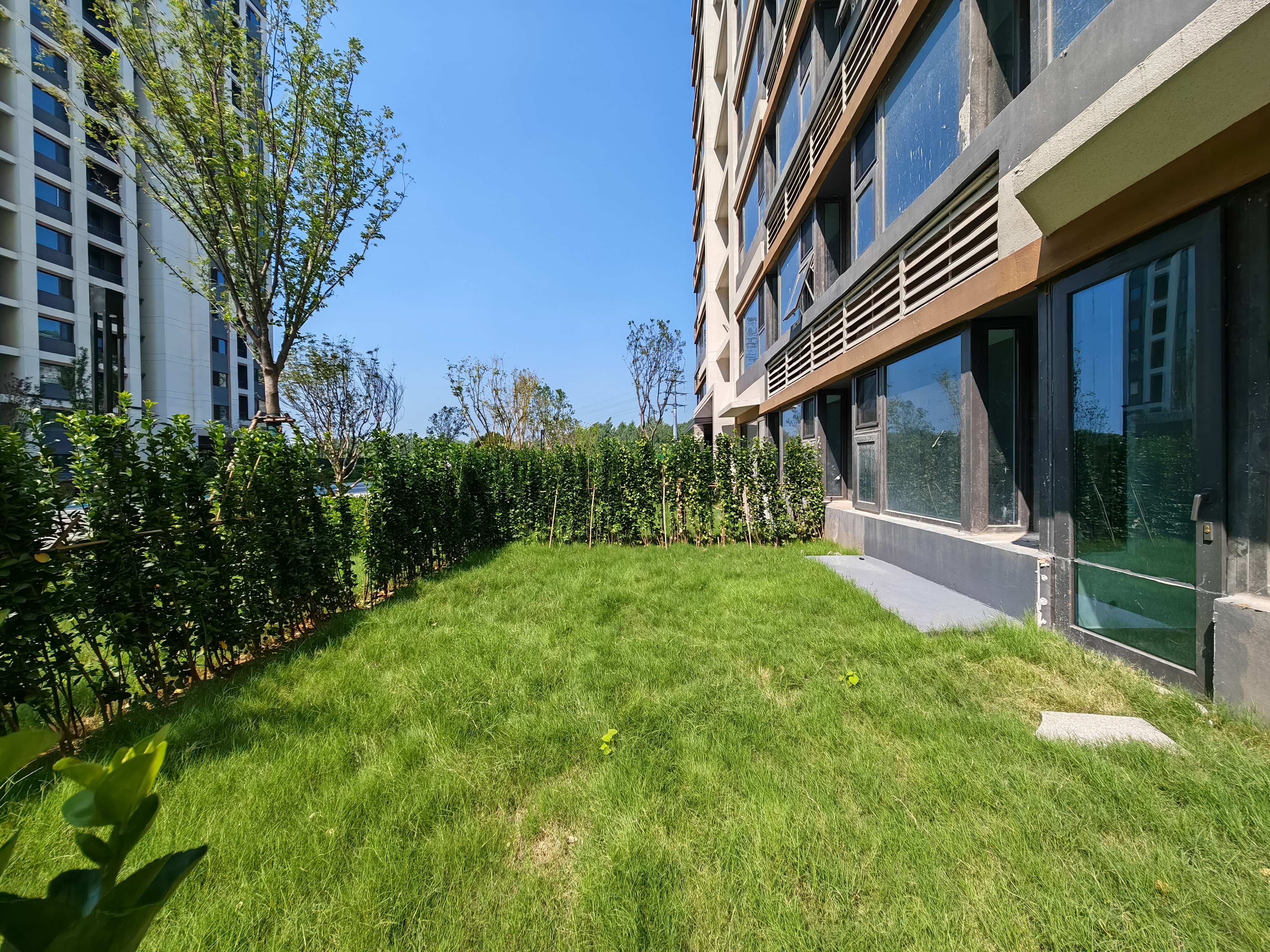 金科华都学林府