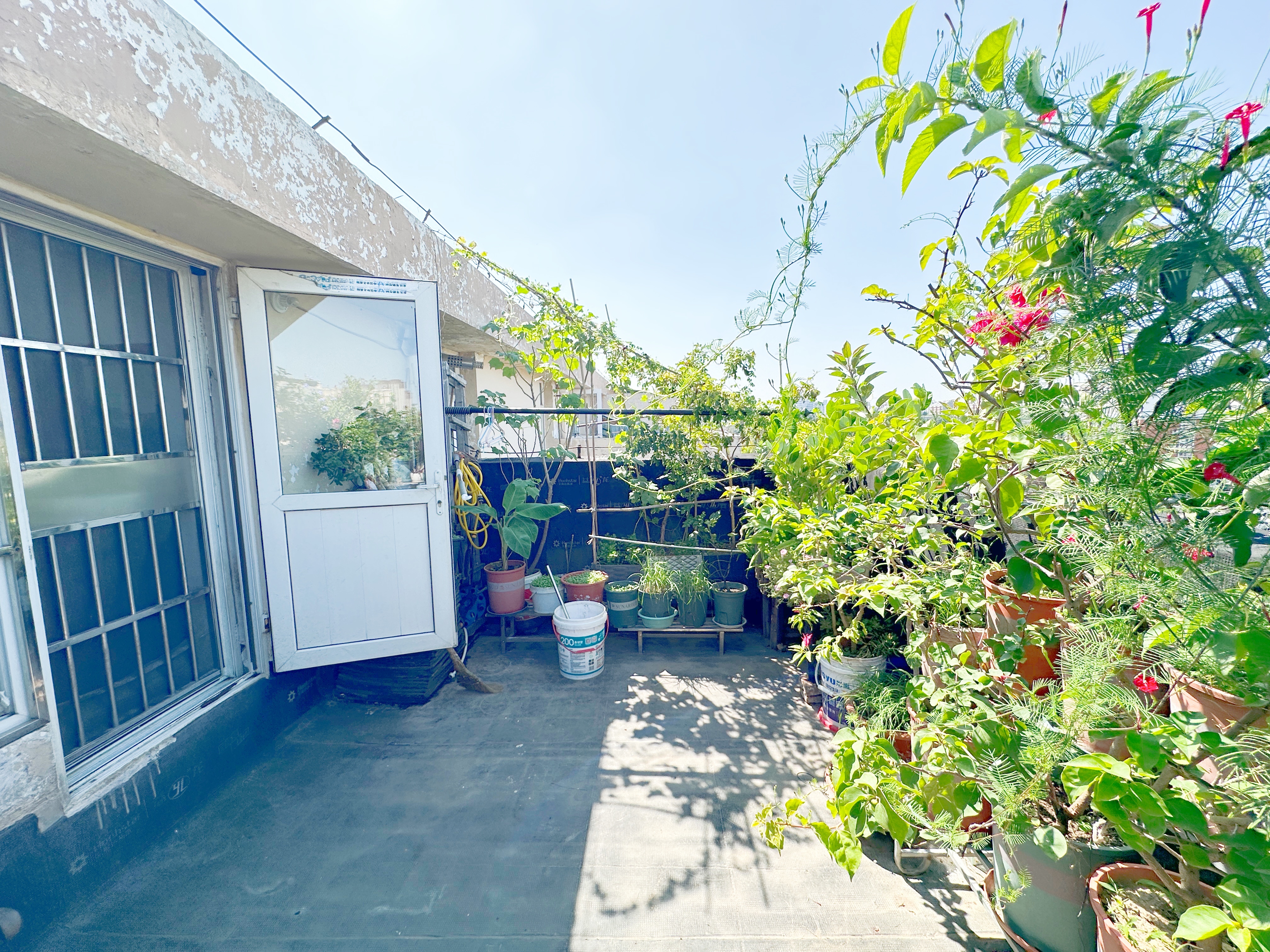 天建天和园冬园