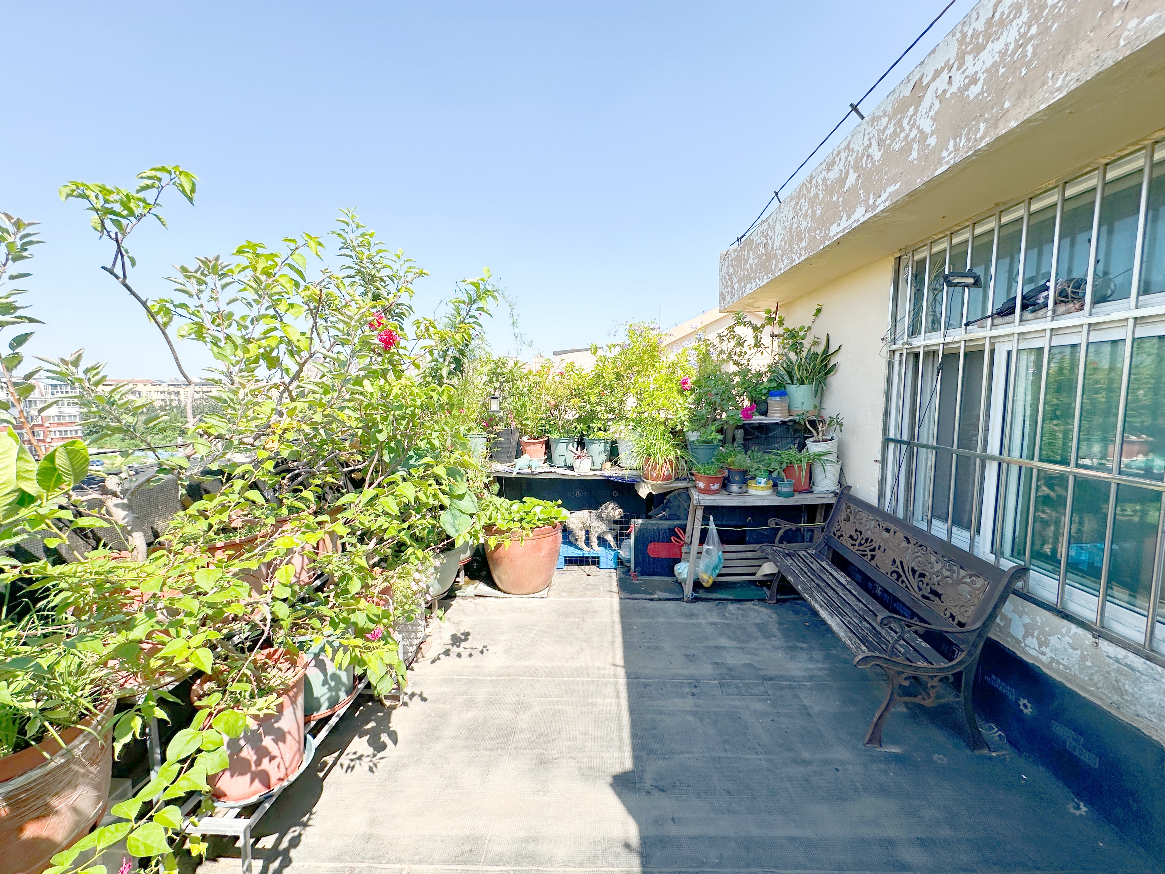 天建天和园冬园