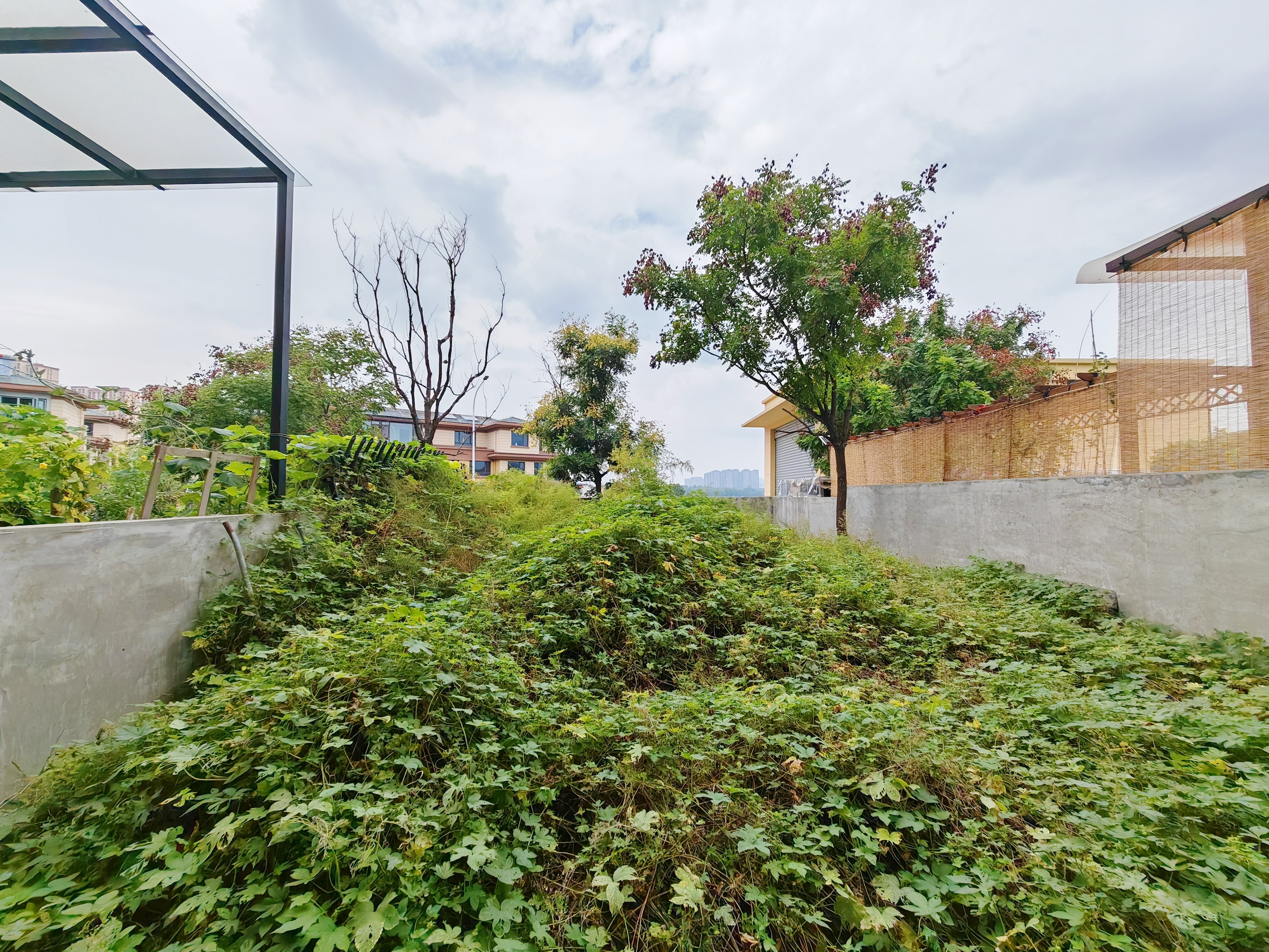 中建长清湖珑园