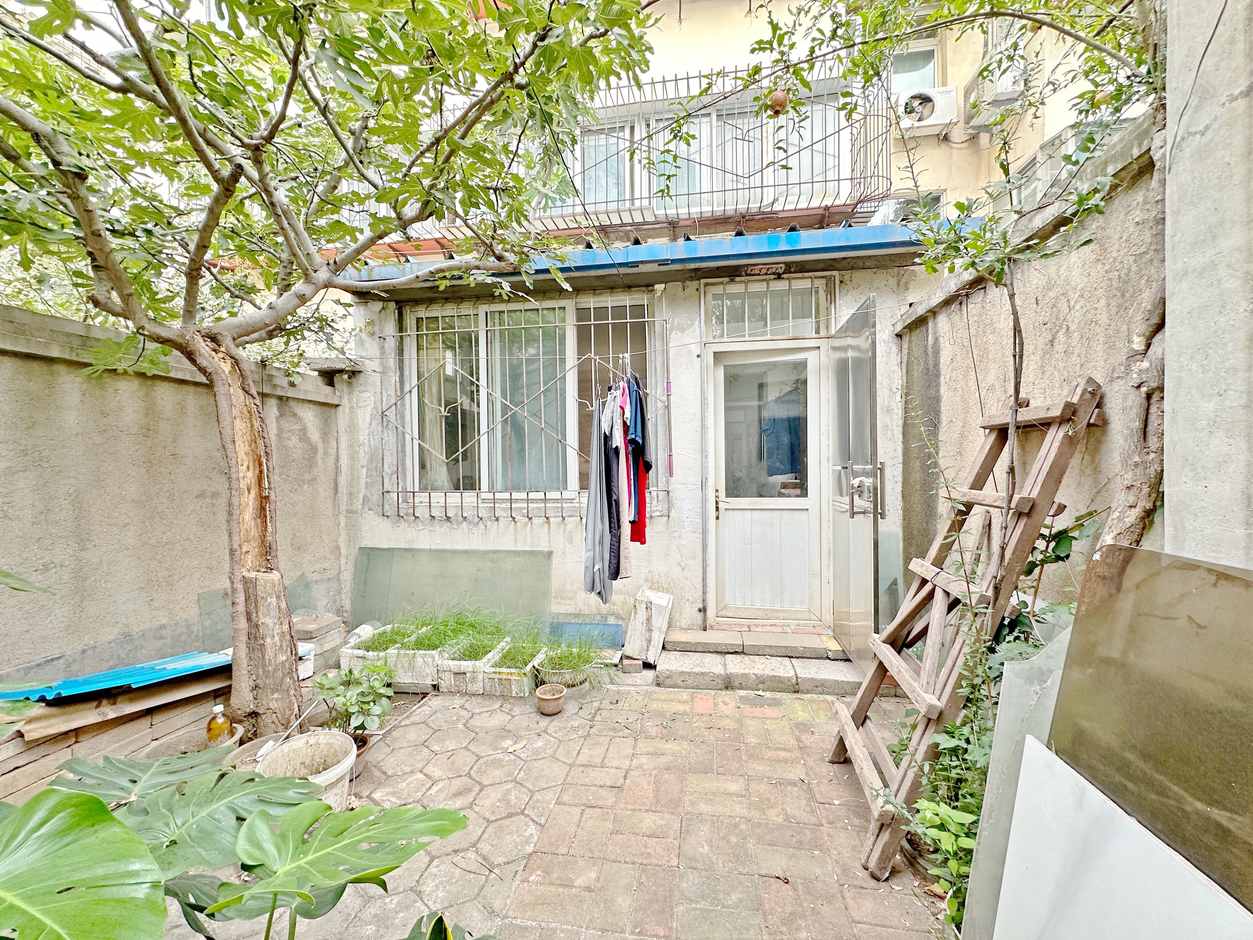 营市东街单位宿舍