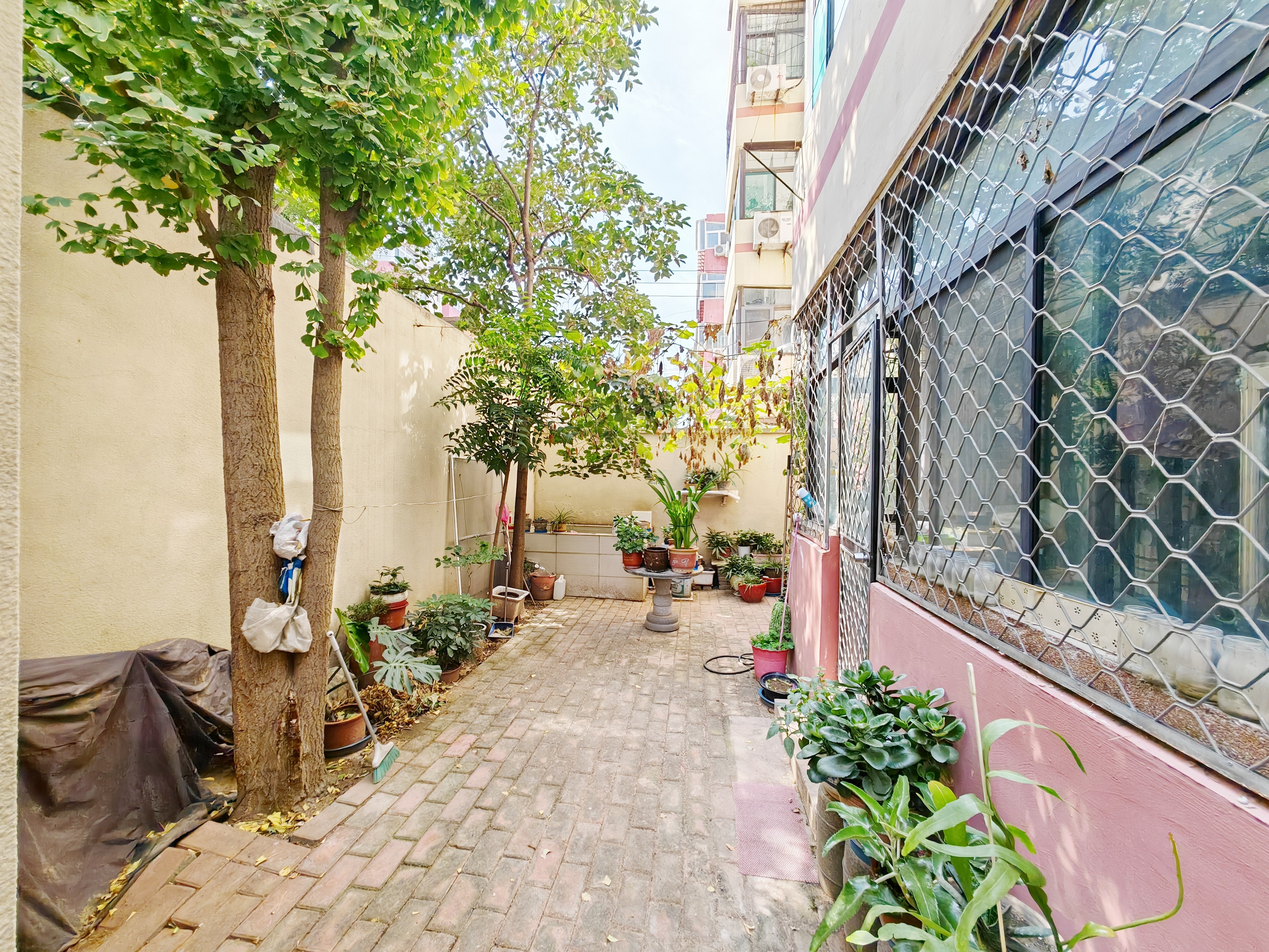 闵子骞路58-1号（农资公司宿舍）