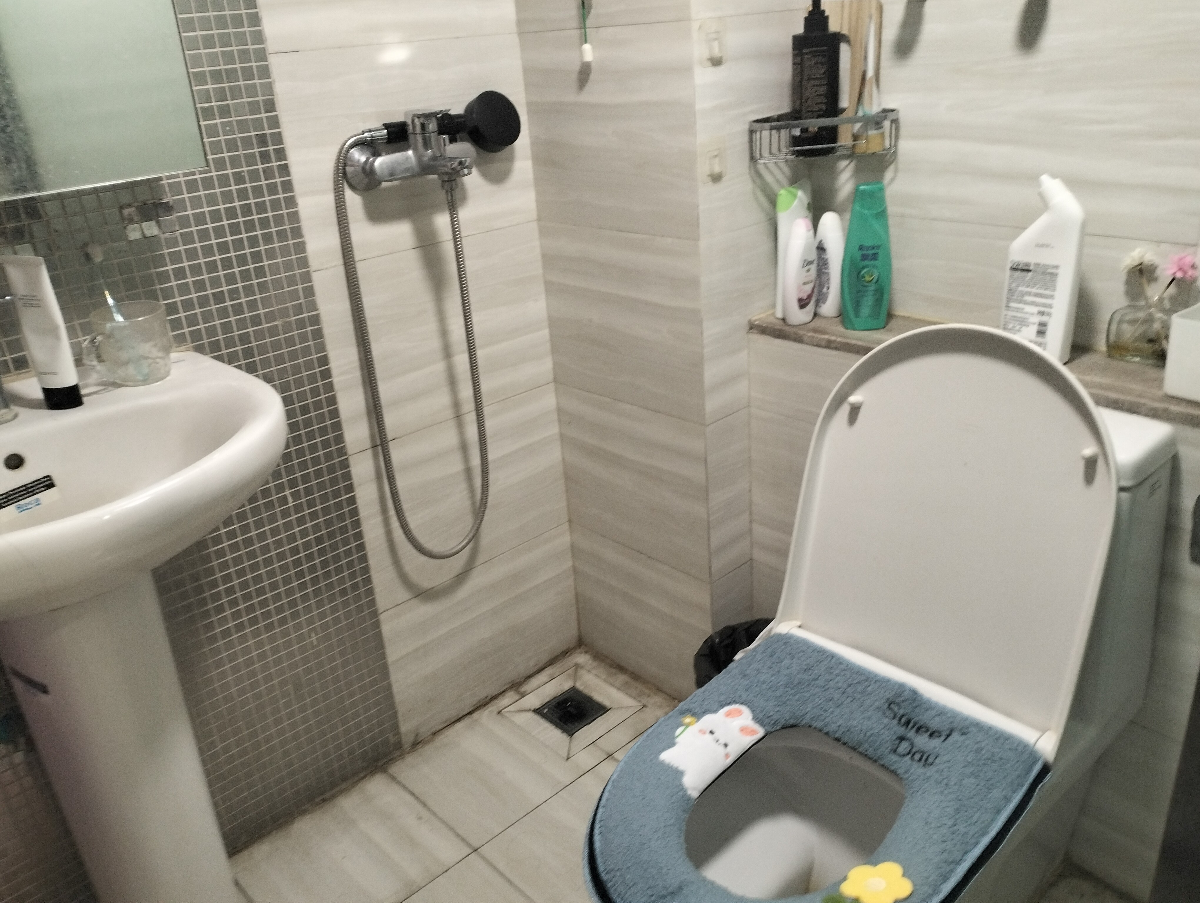 恒大滨河左岸公寓(临湖公馆花园)