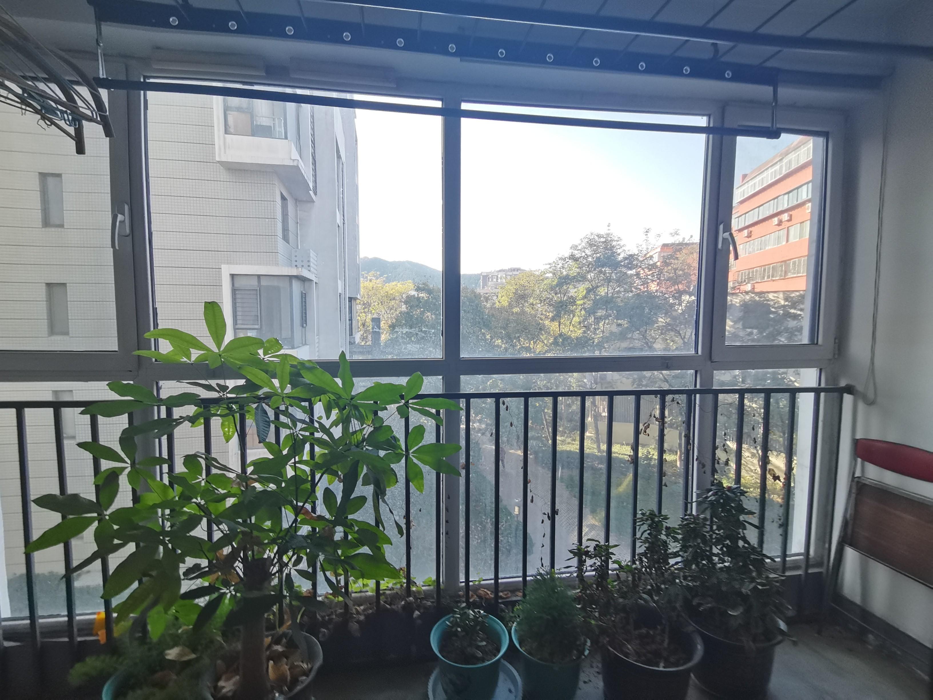 他山花园