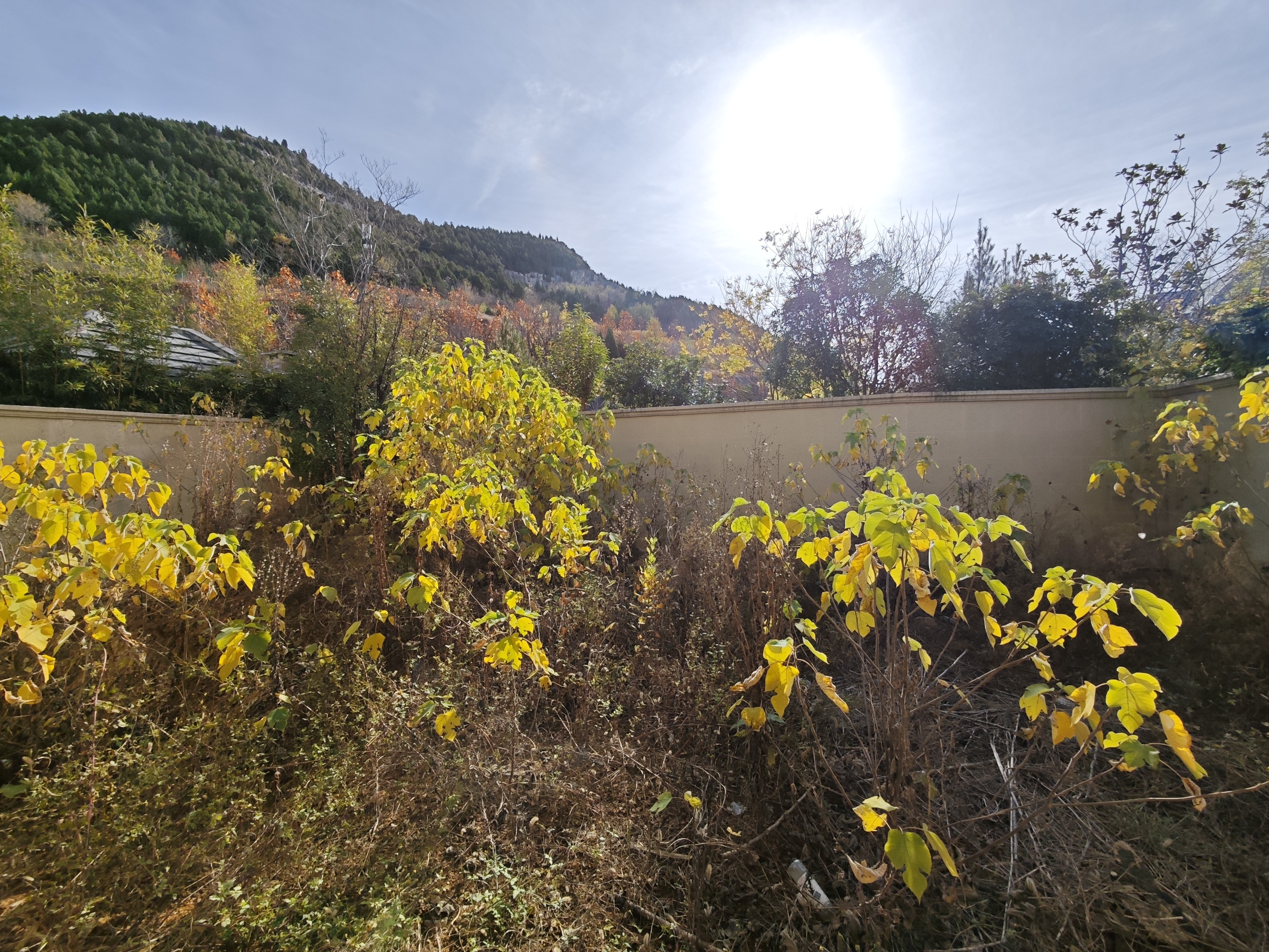  海尔绿城全运村玺园,南北通透 北入户