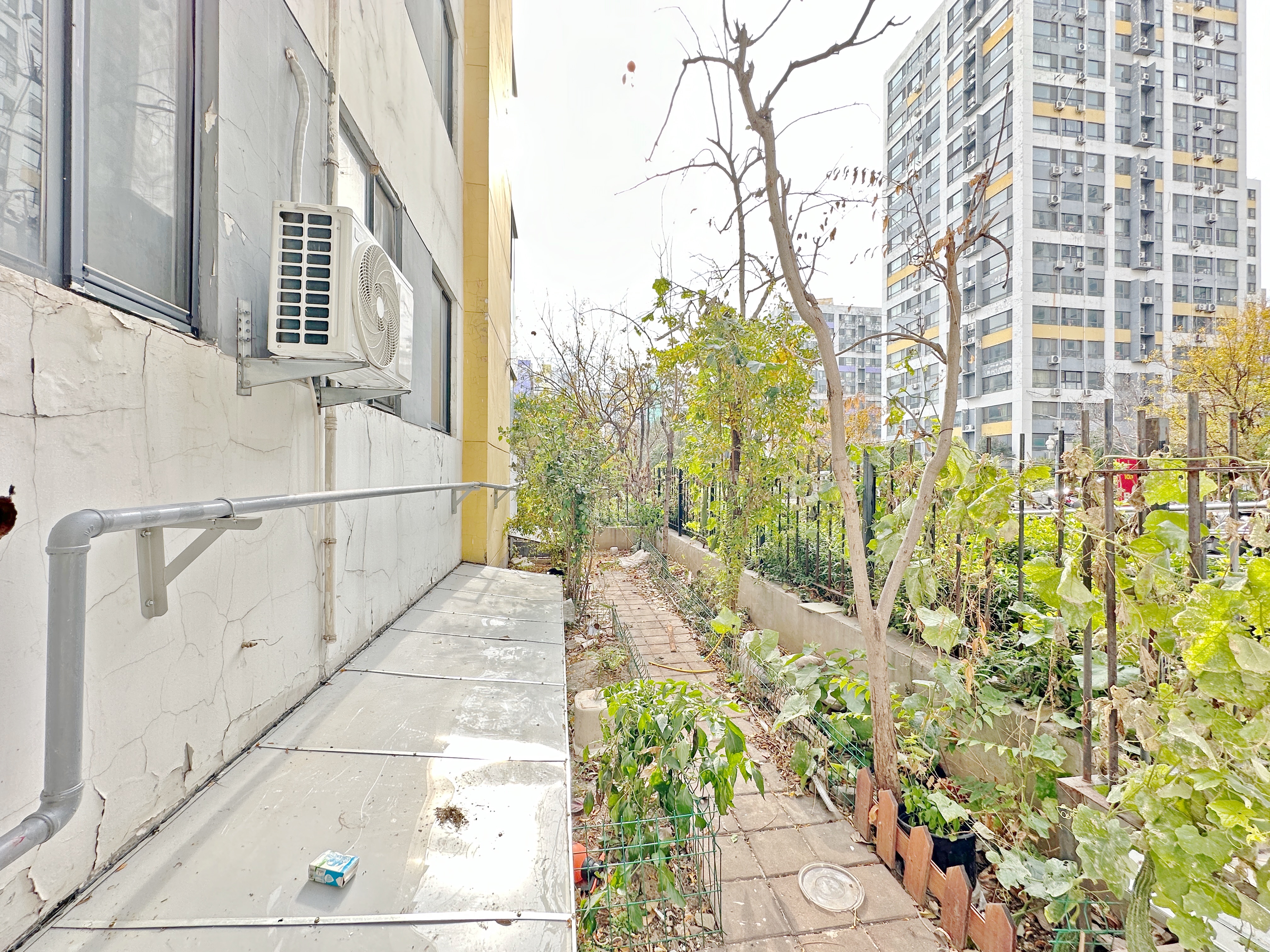 阳光100国际新城(B区）