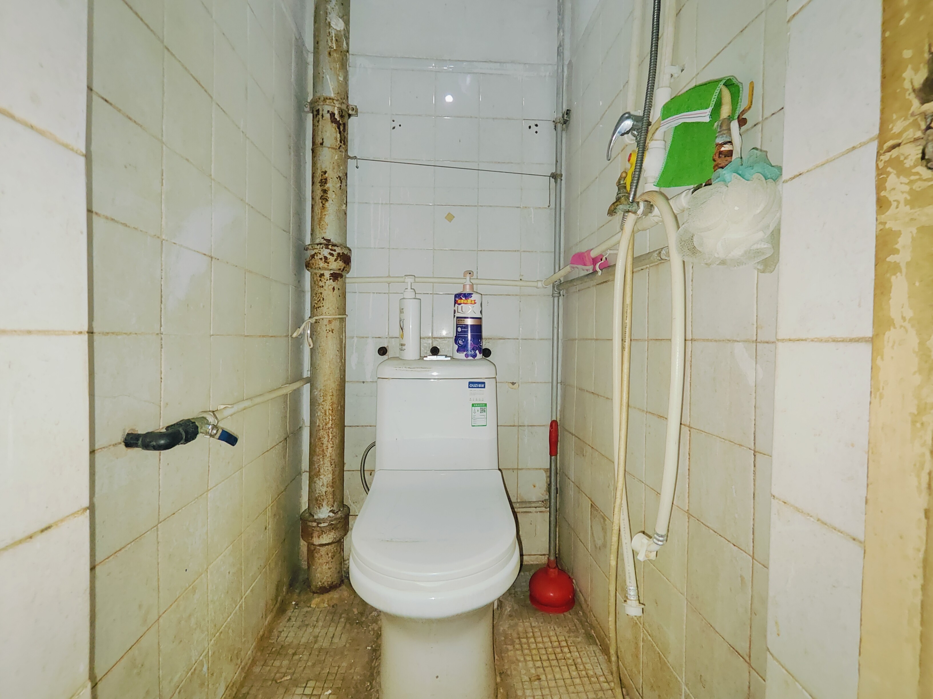 山东大学老校第二宿舍