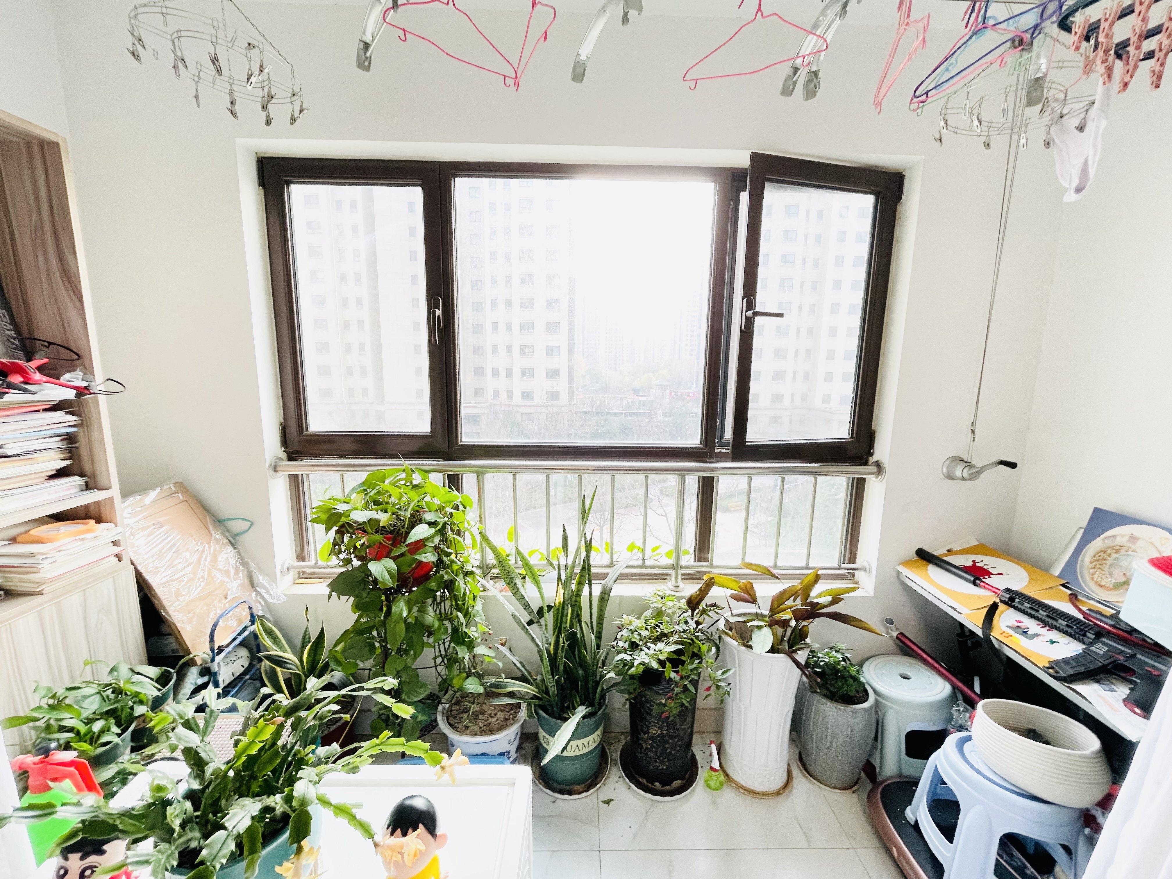 银丰唐郡荷花园