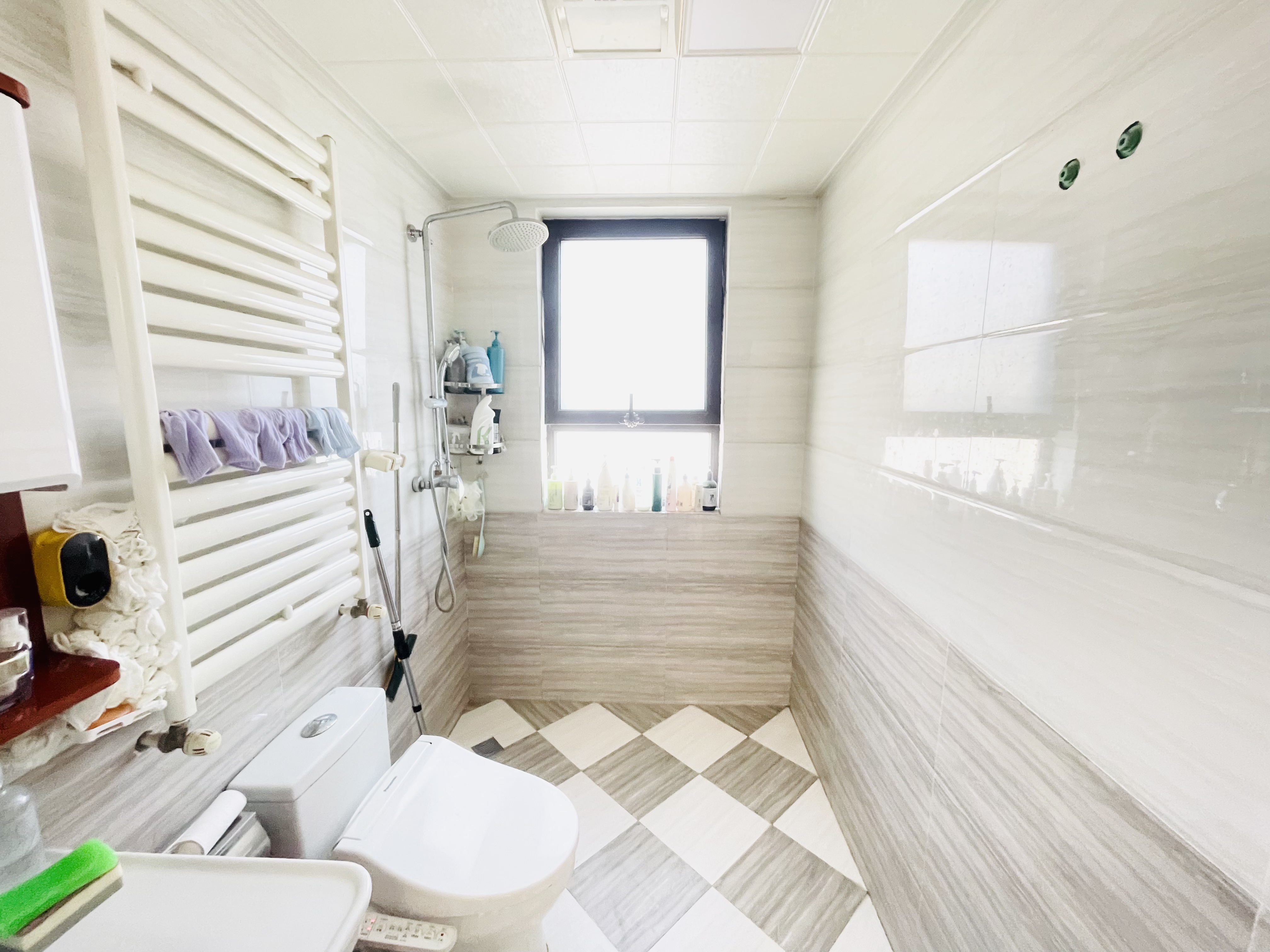 银丰唐郡荷花园