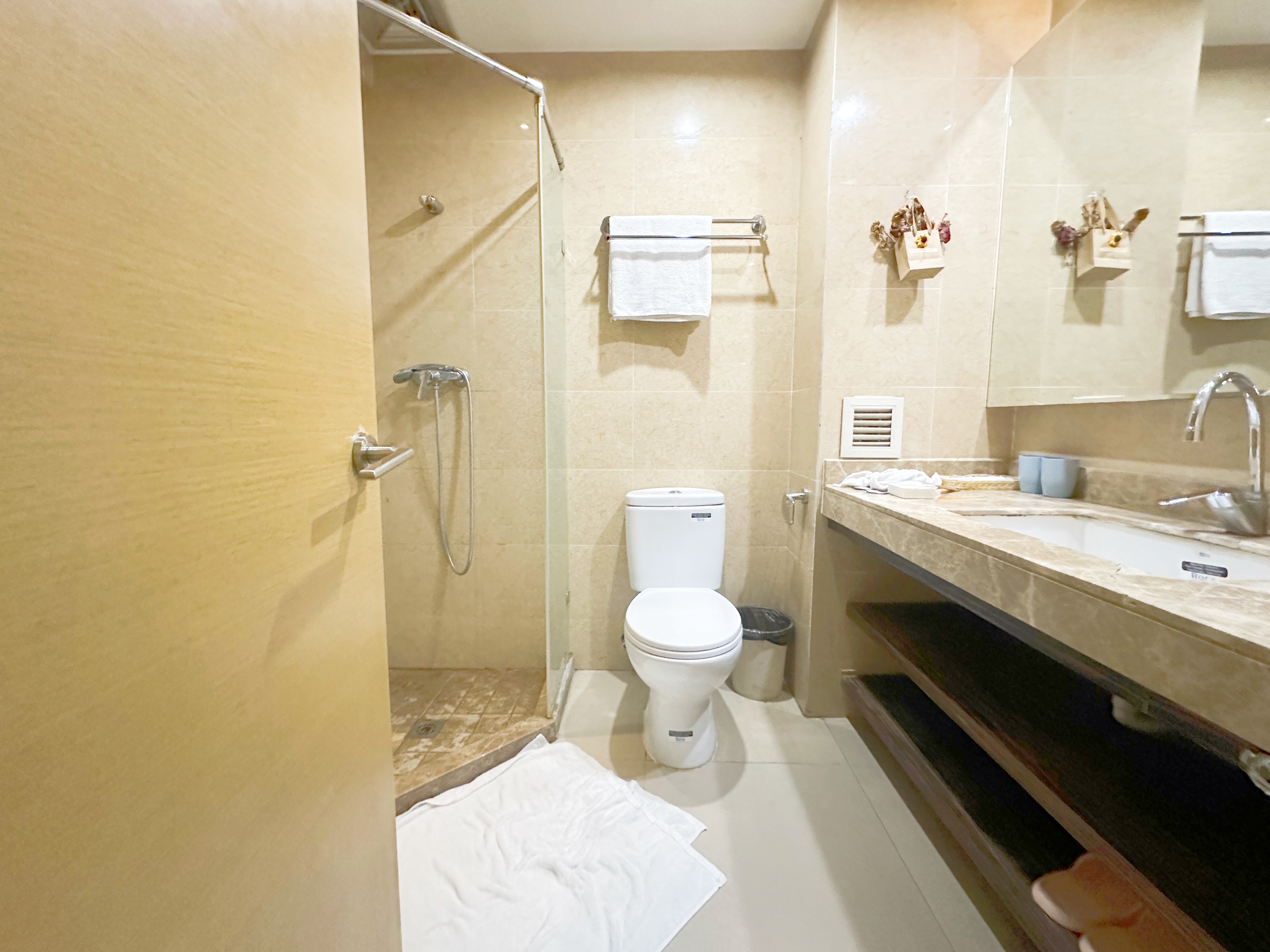 南益名泉春晓公寓