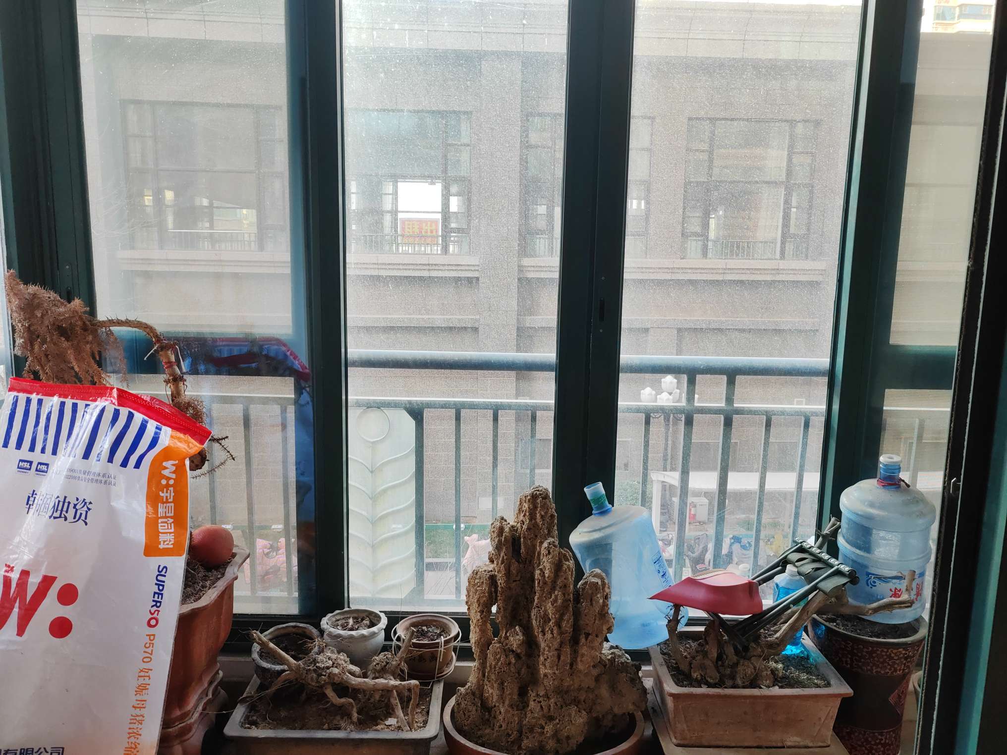 恒大绿洲