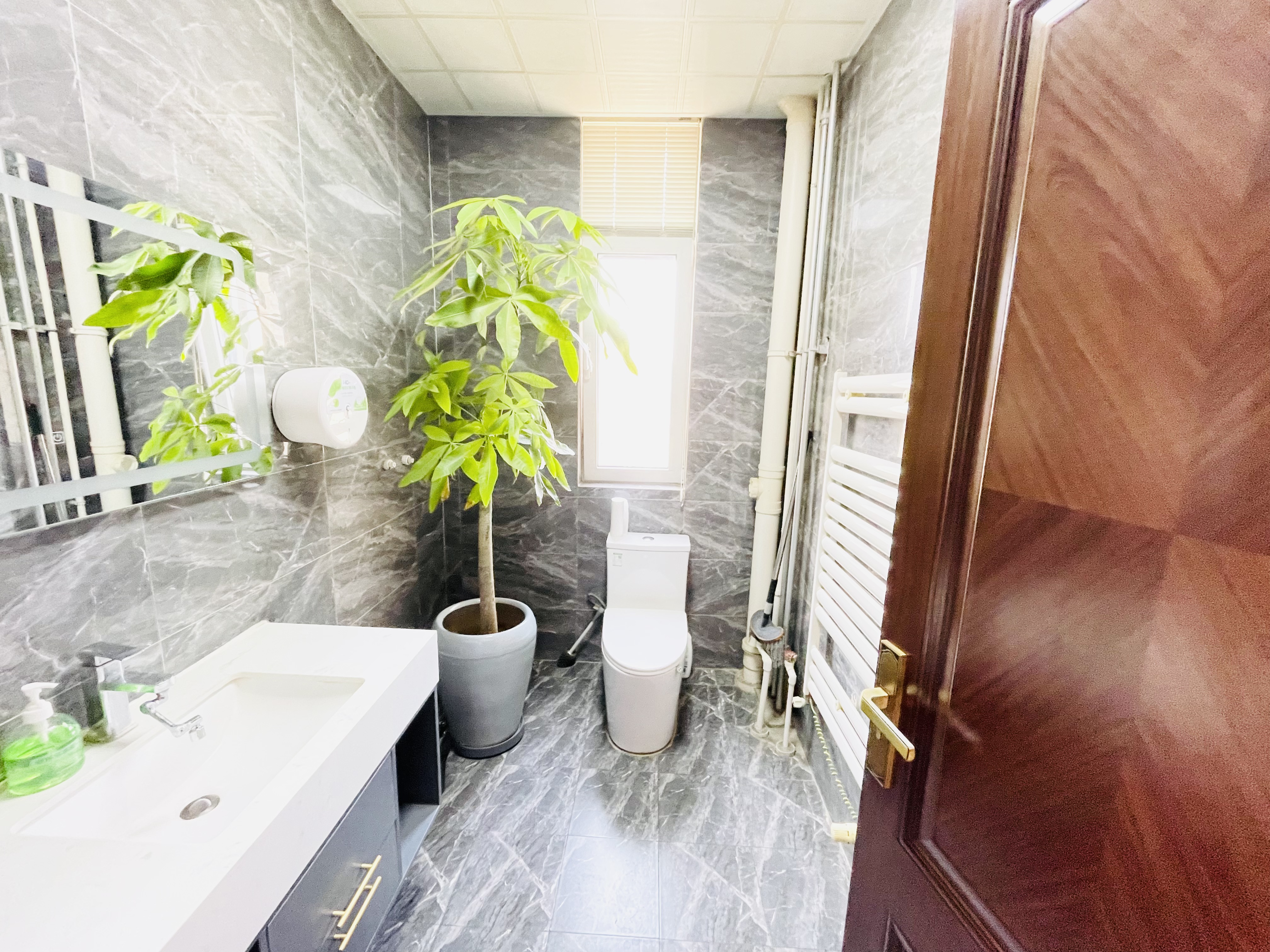 银丰唐郡牡丹园