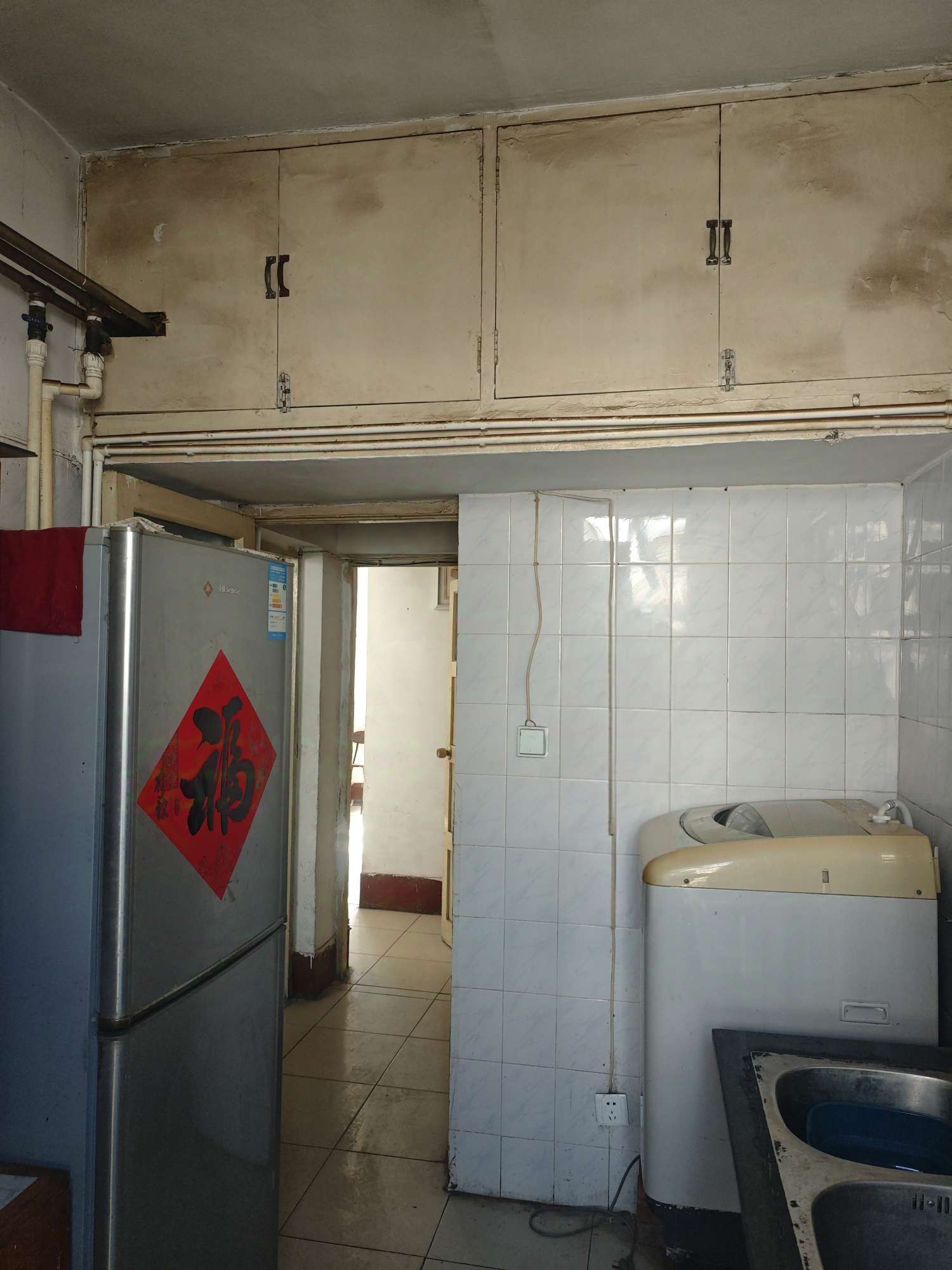 北大槐树51号