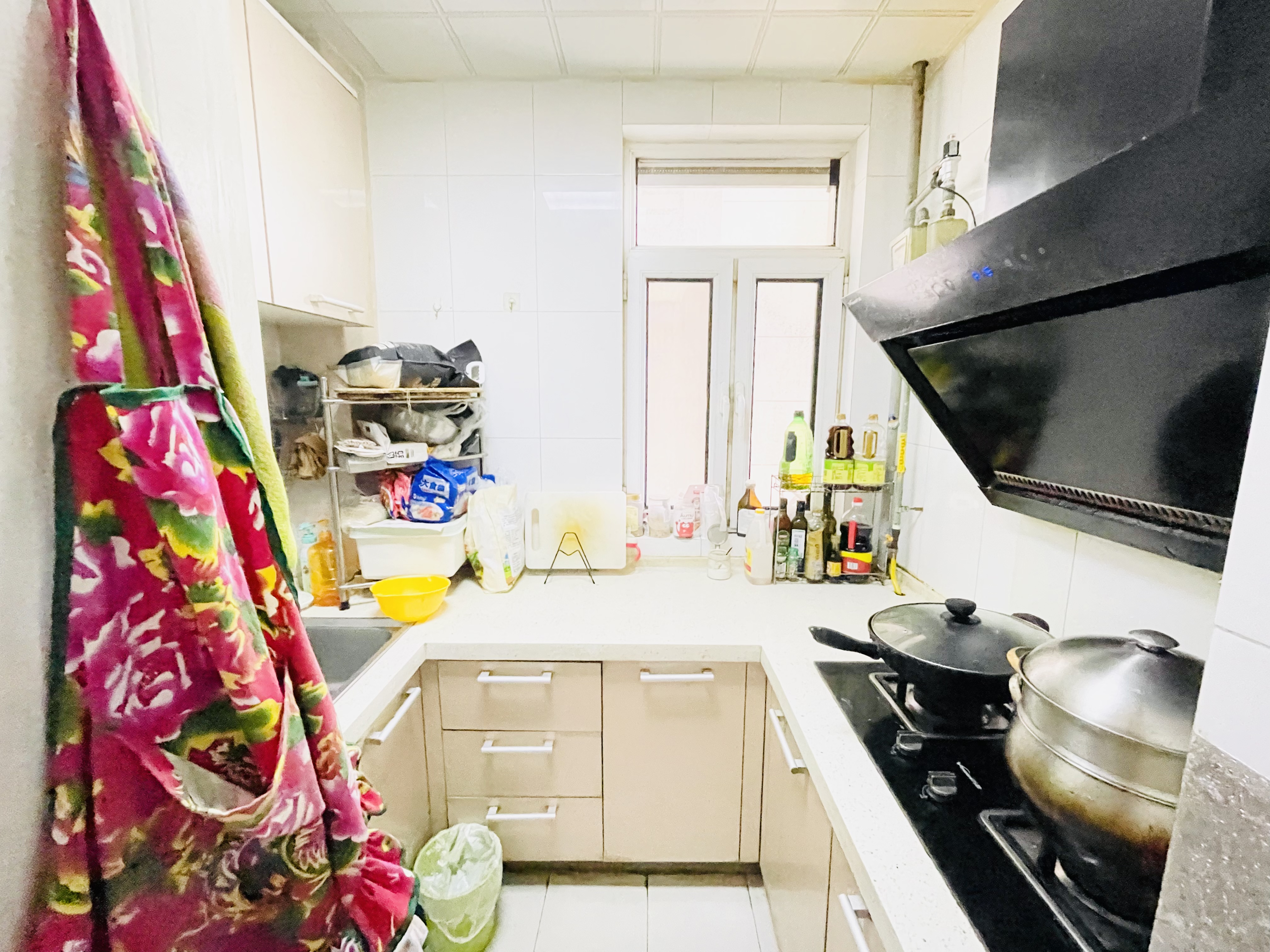 尚东1956（ 尚东花园）