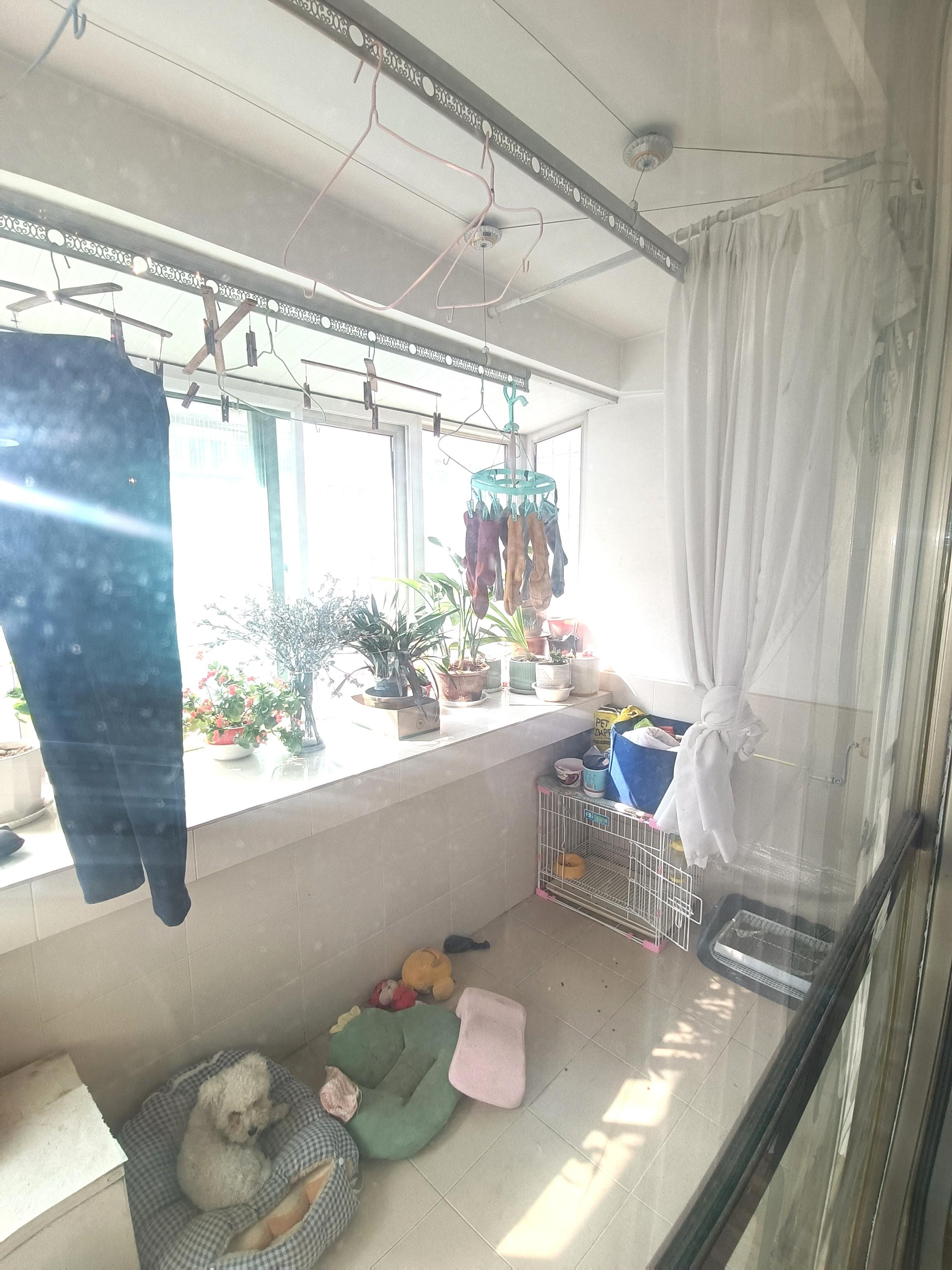 佛山苑