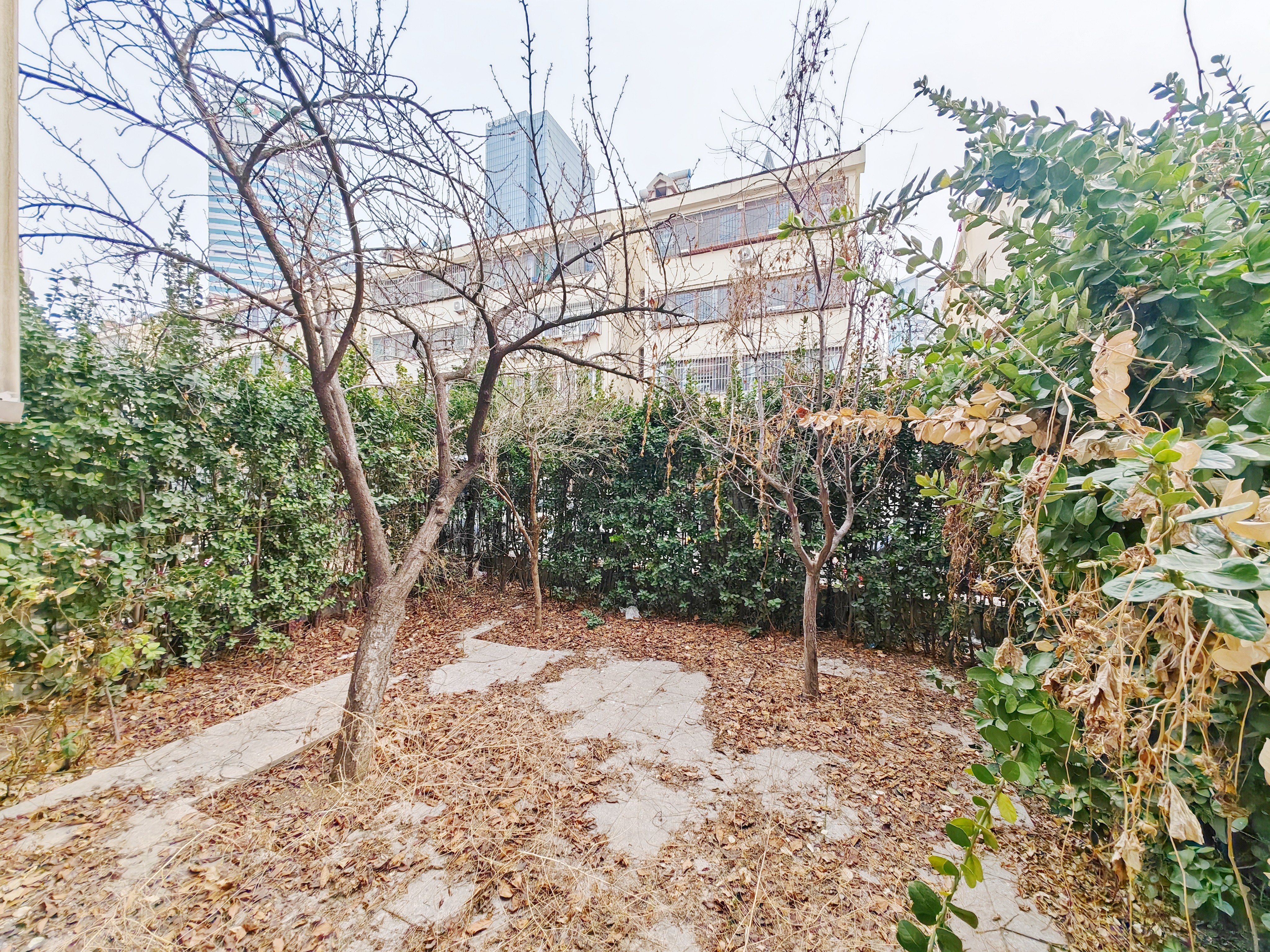 司里街小区北区