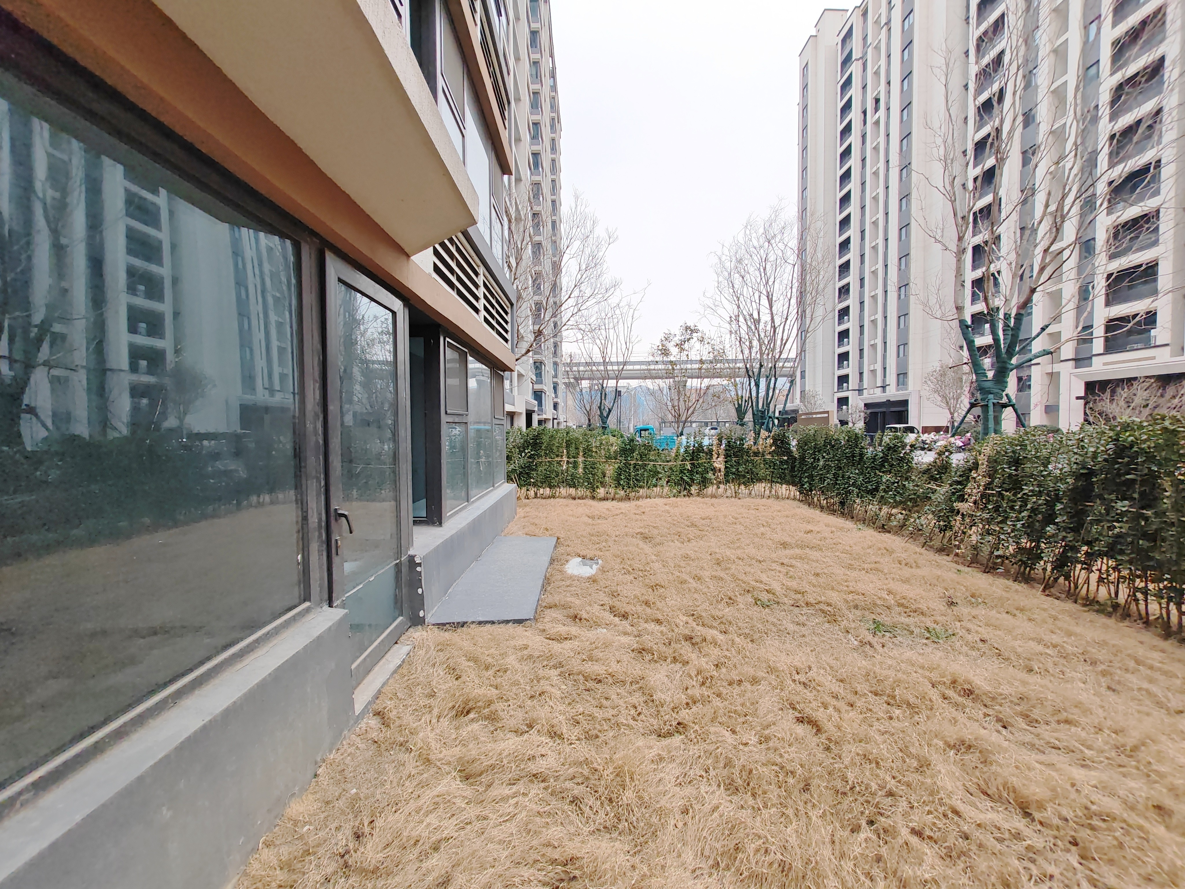 金科华都学林府