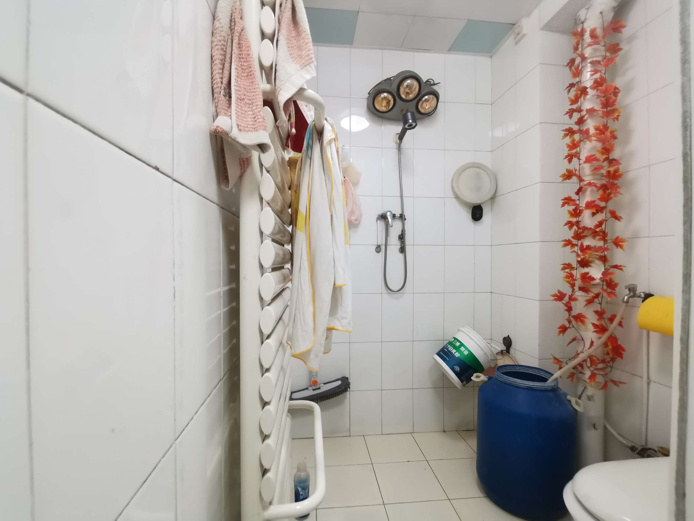 志成顺园