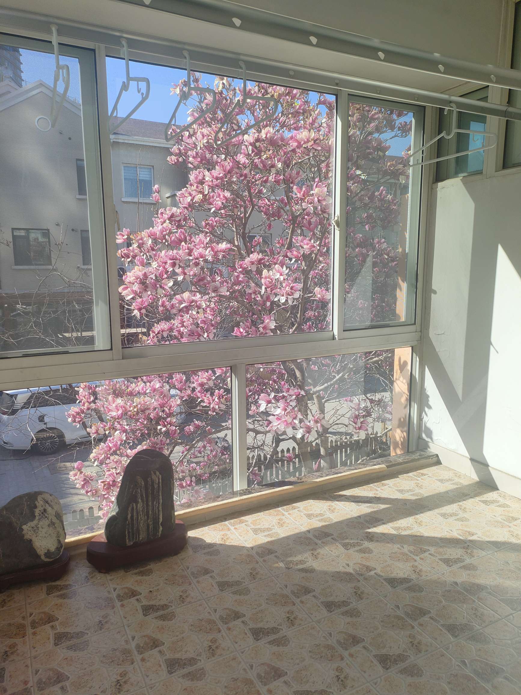 世通新生活家园