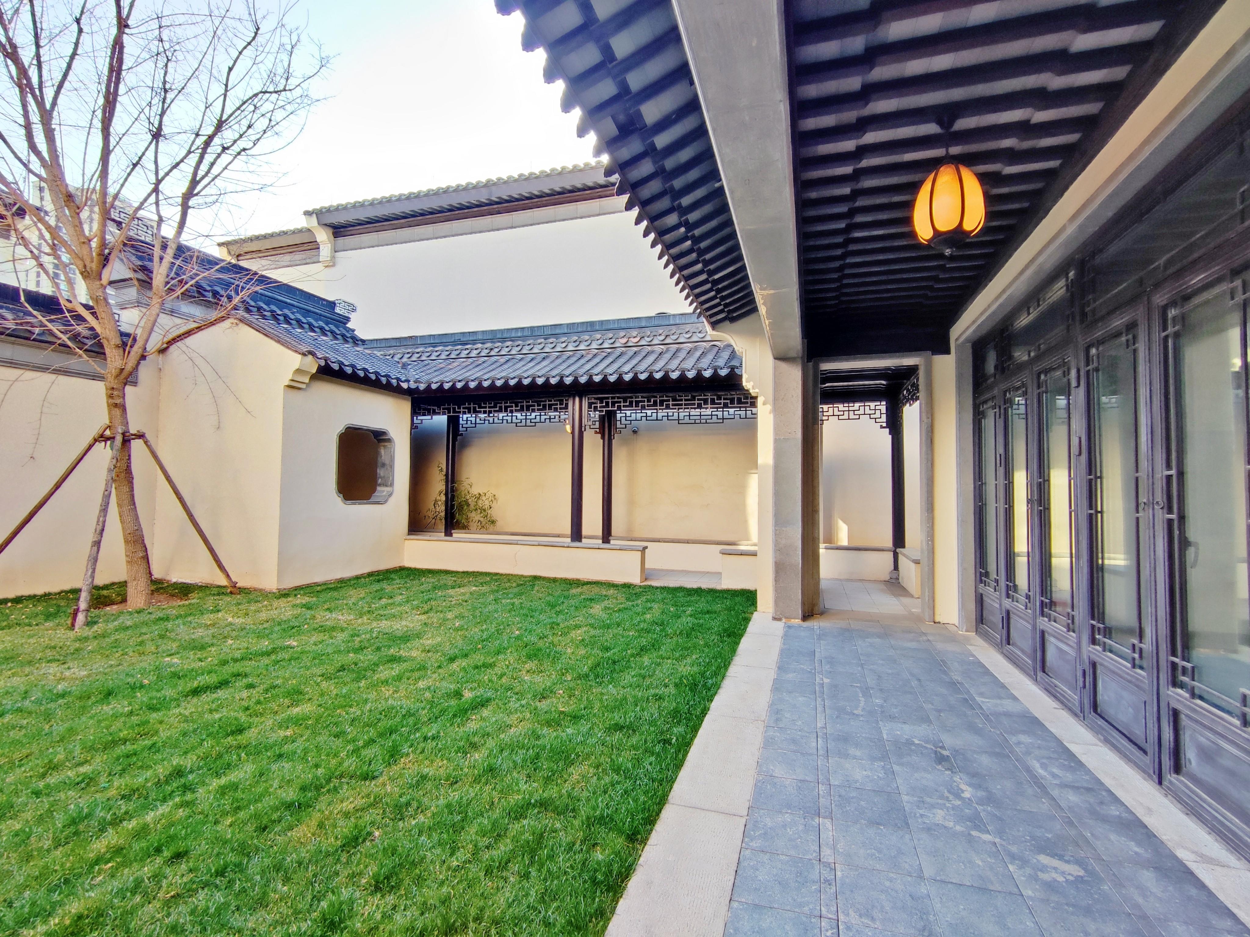 杨柳春风
