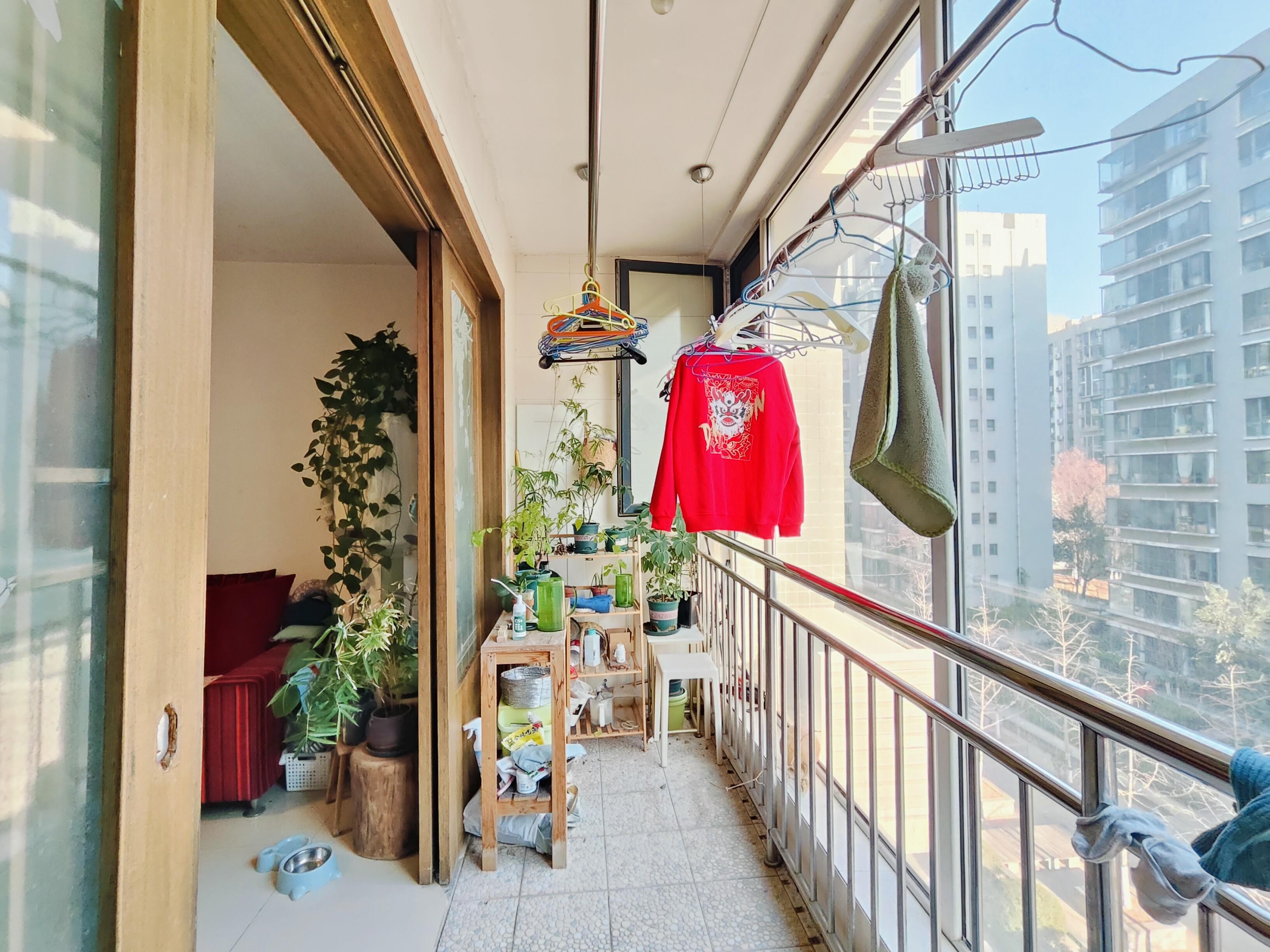 锦绣泉城