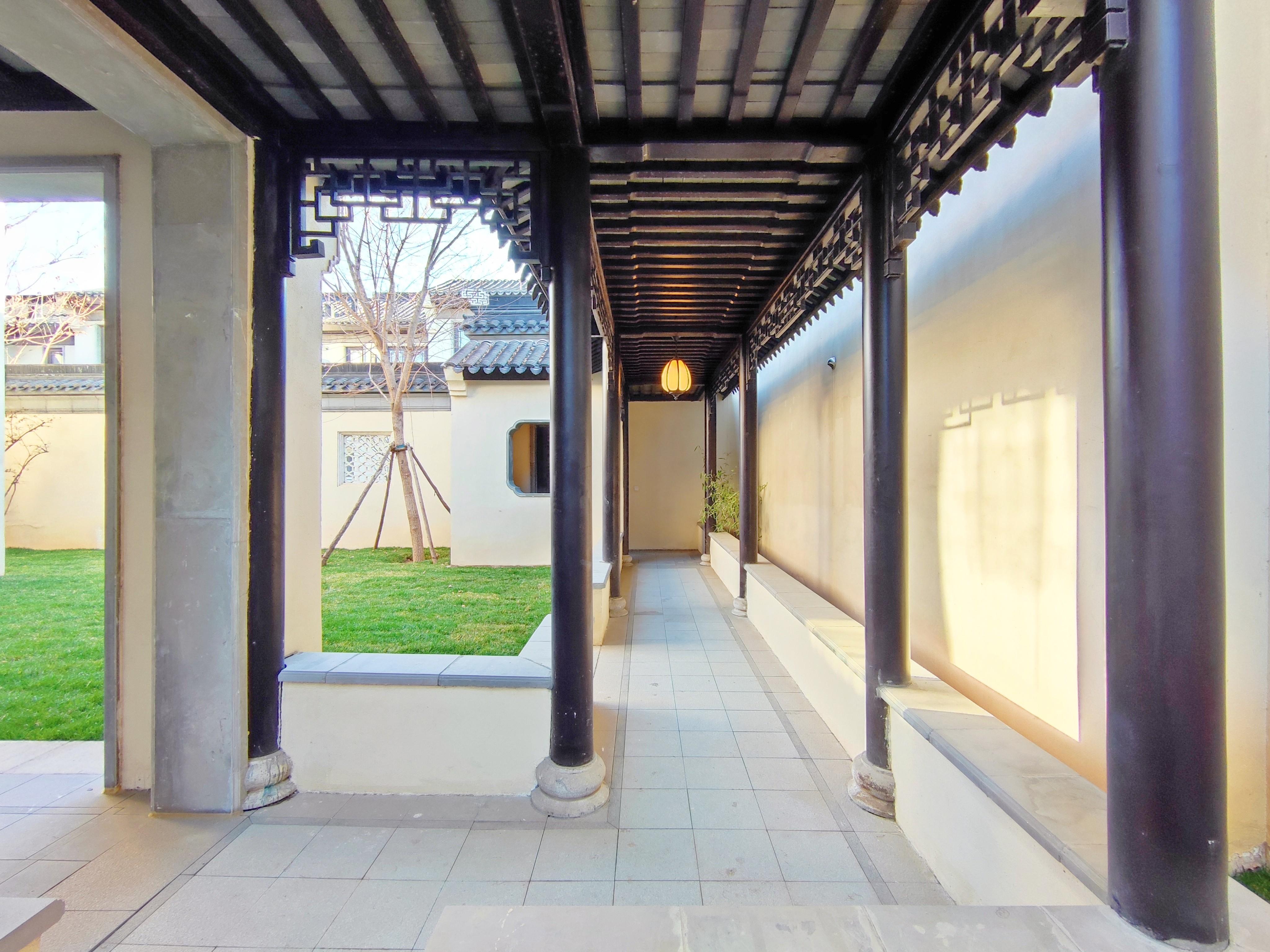 杨柳春风