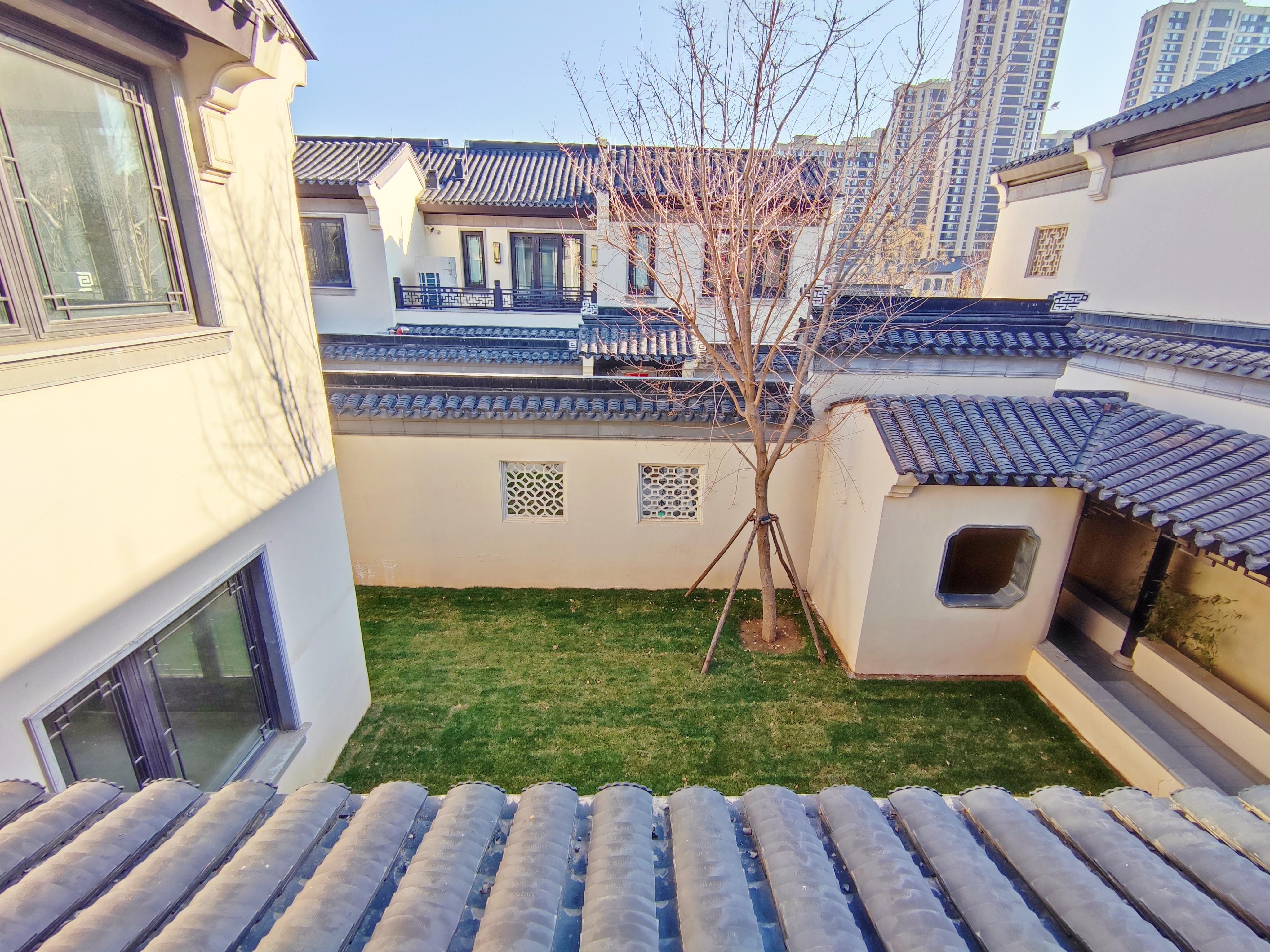 杨柳春风