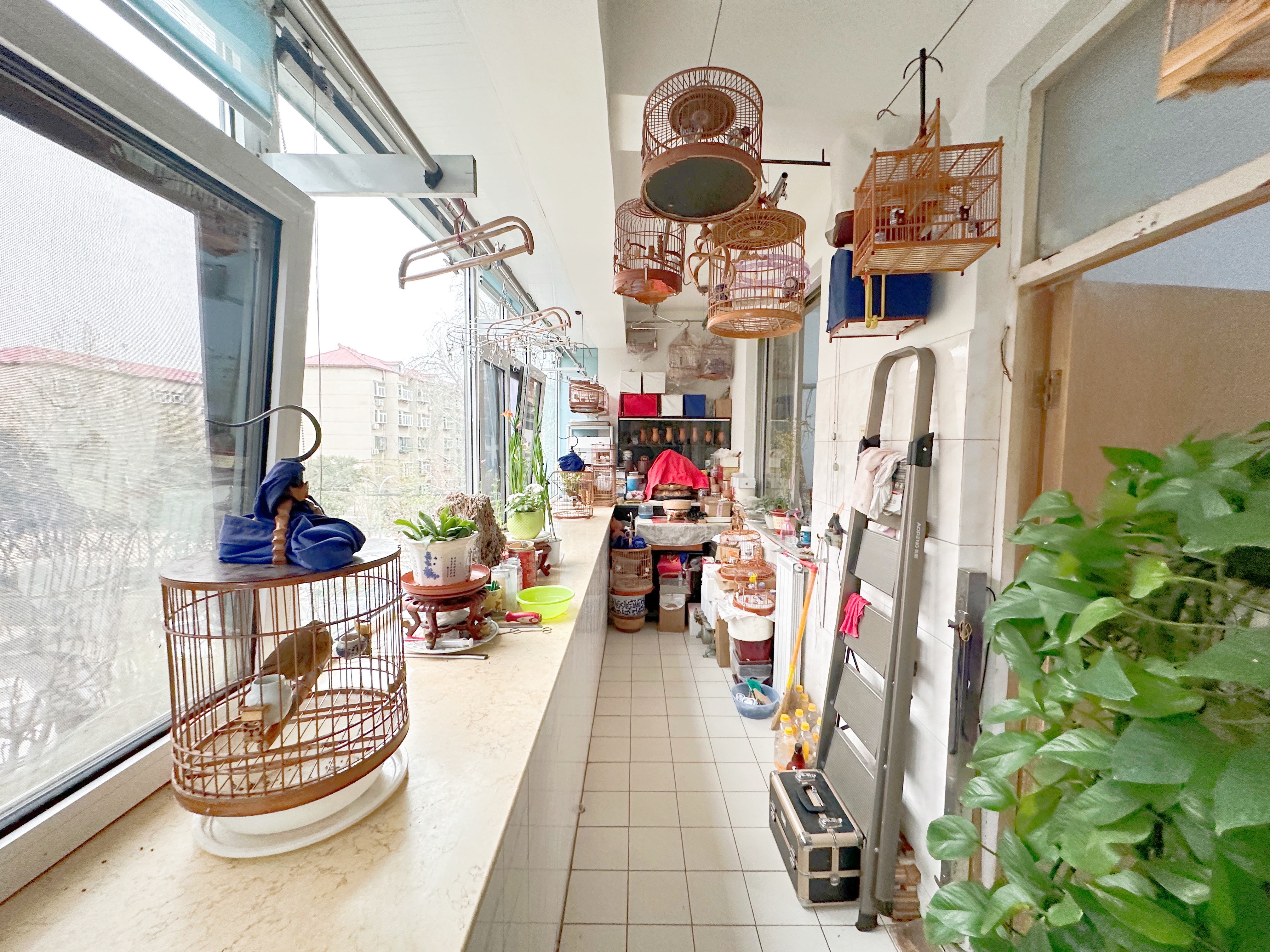 槐荫区环卫局宿舍