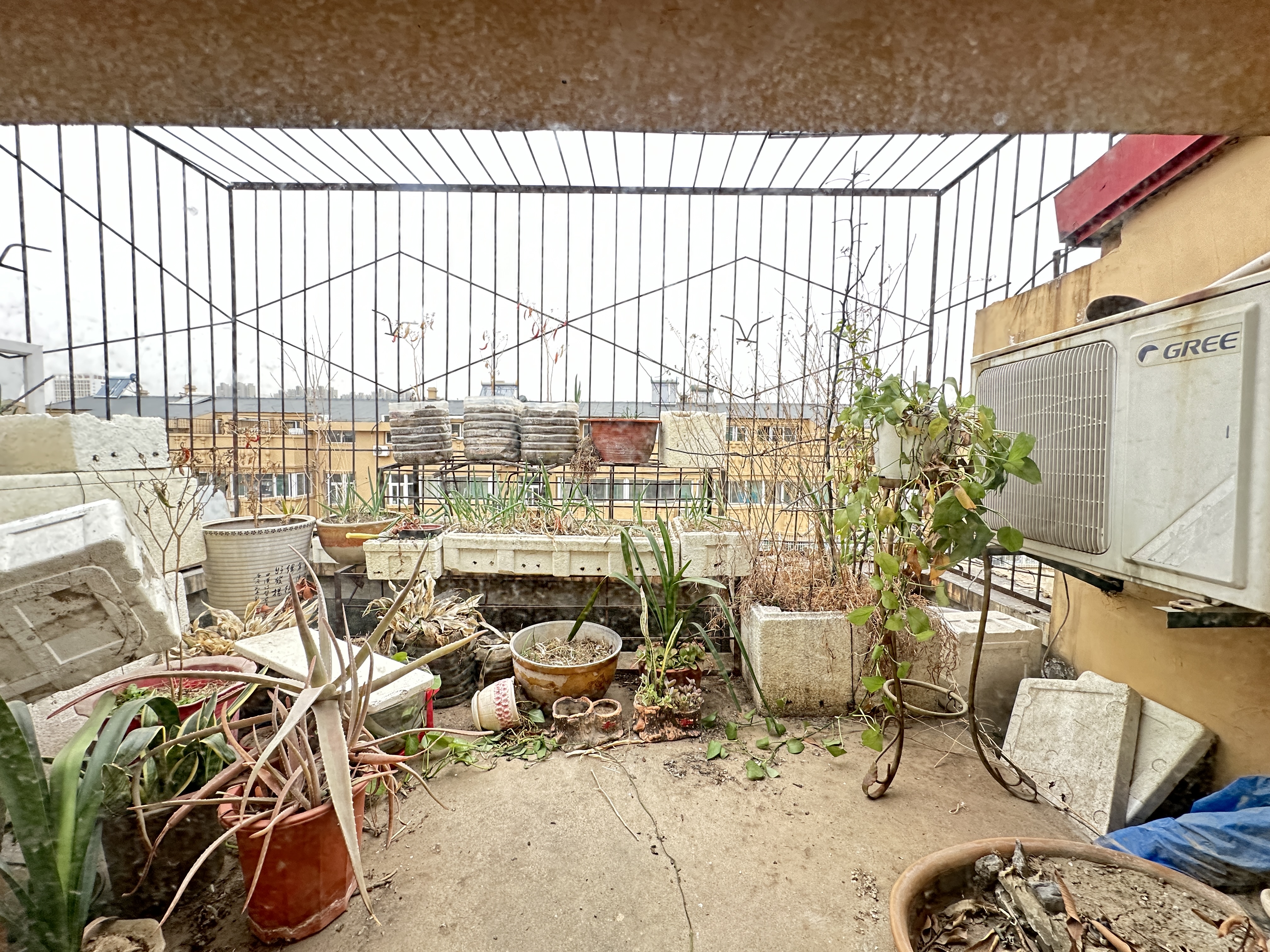 太平洋小区西区