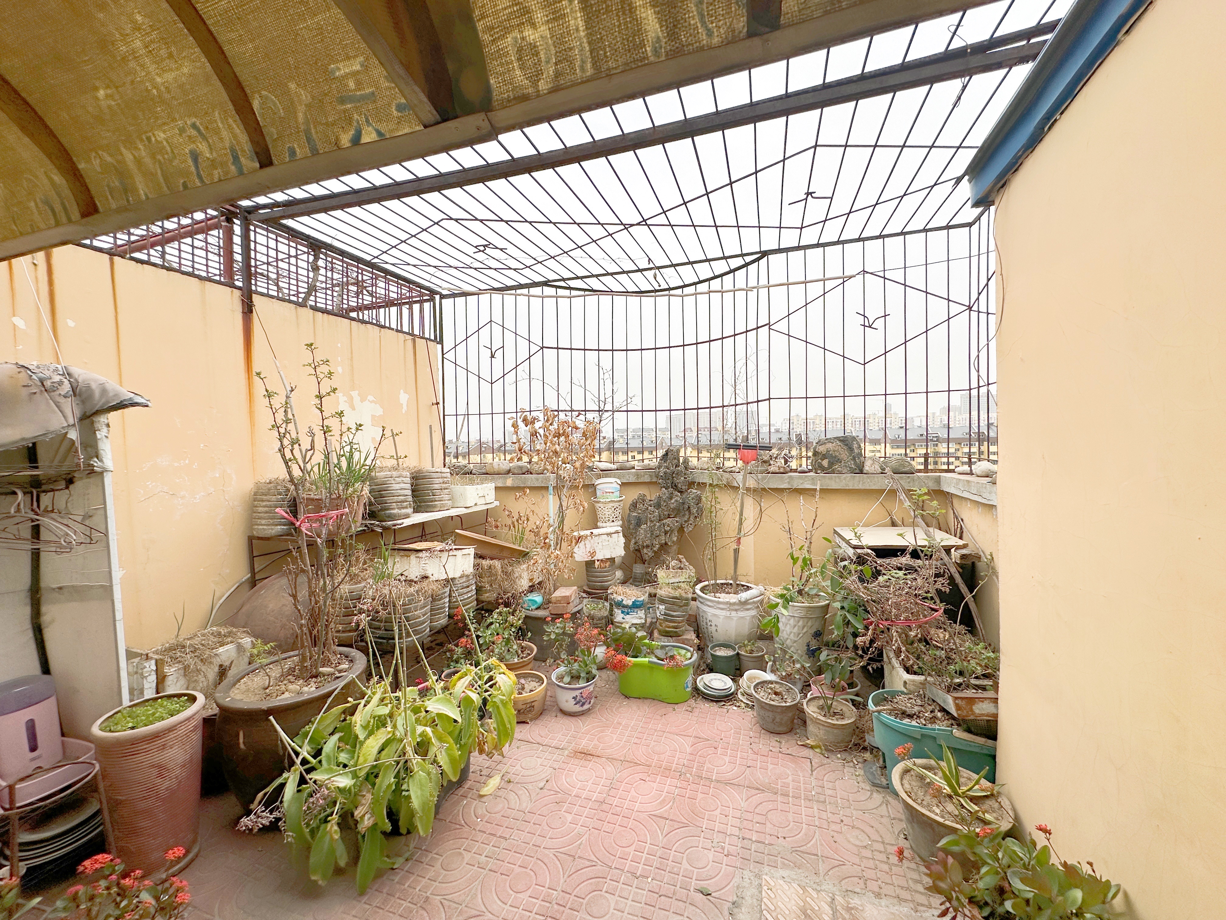 太平洋小区西区