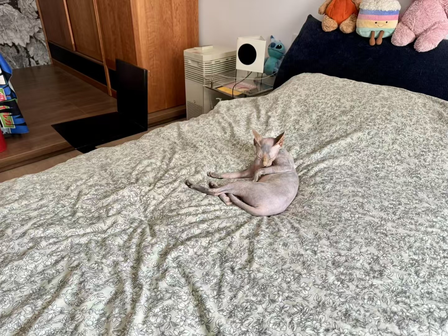 华润置地公元九里