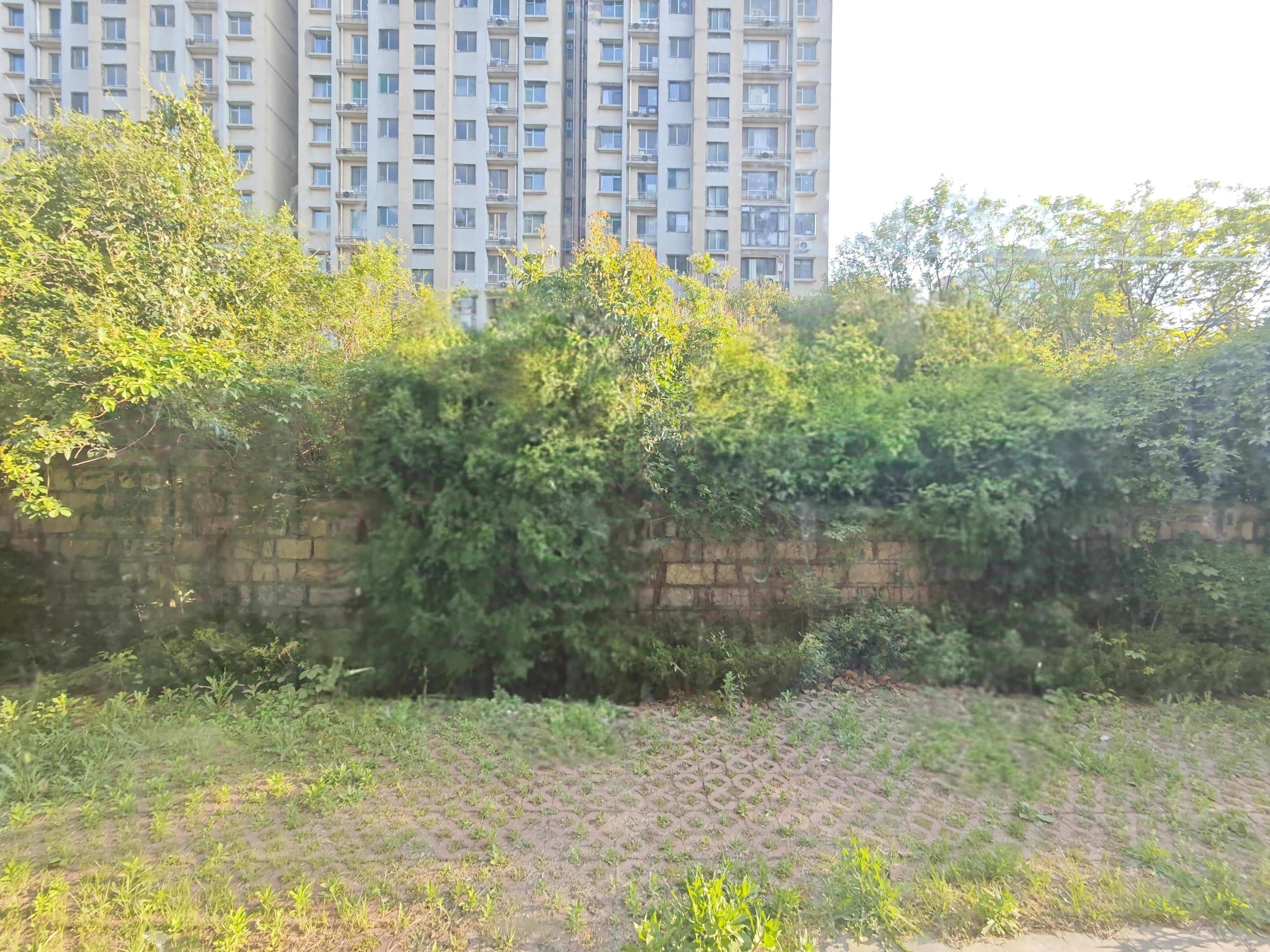 师大新村