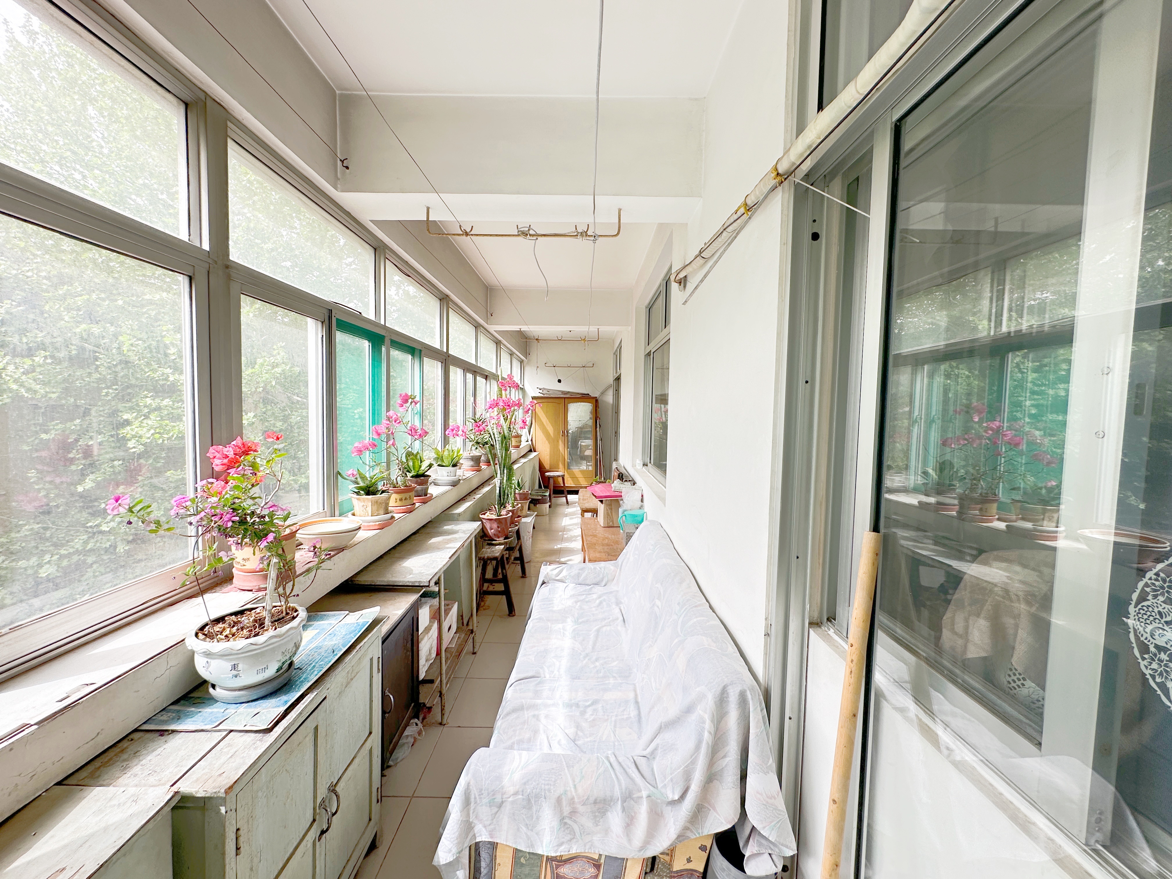 煤炭局宿舍(矿院路)