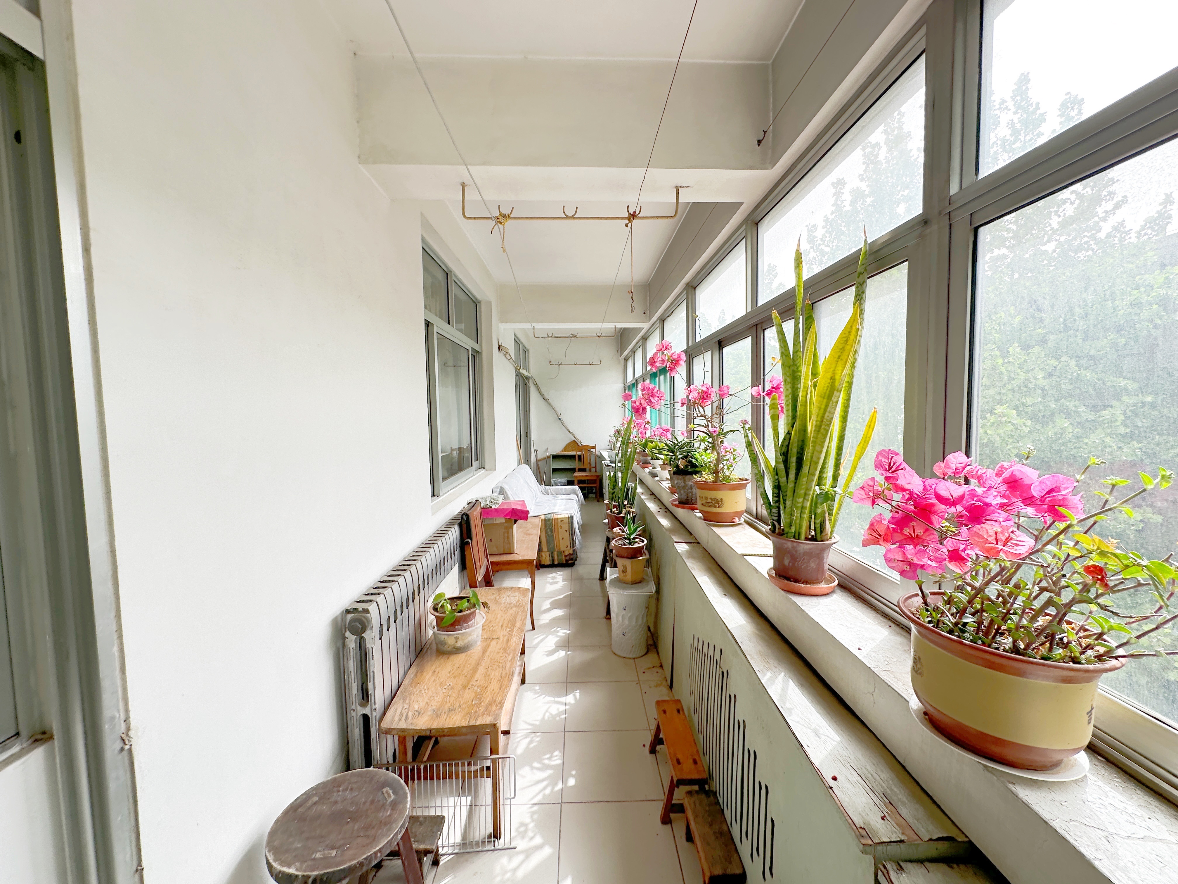 煤炭局宿舍(矿院路)