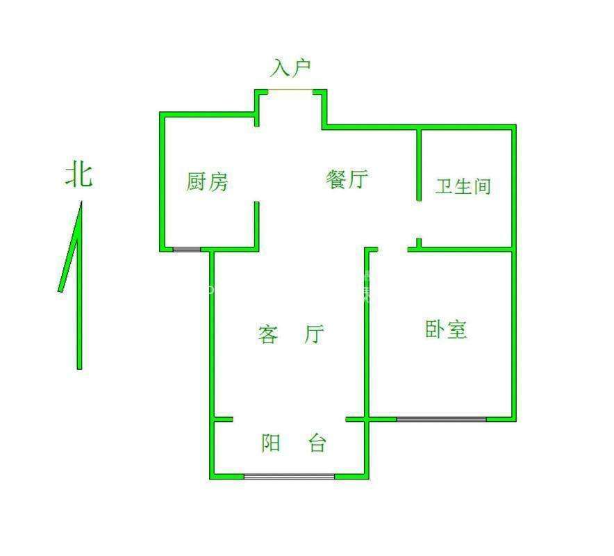 鲁商常春藤